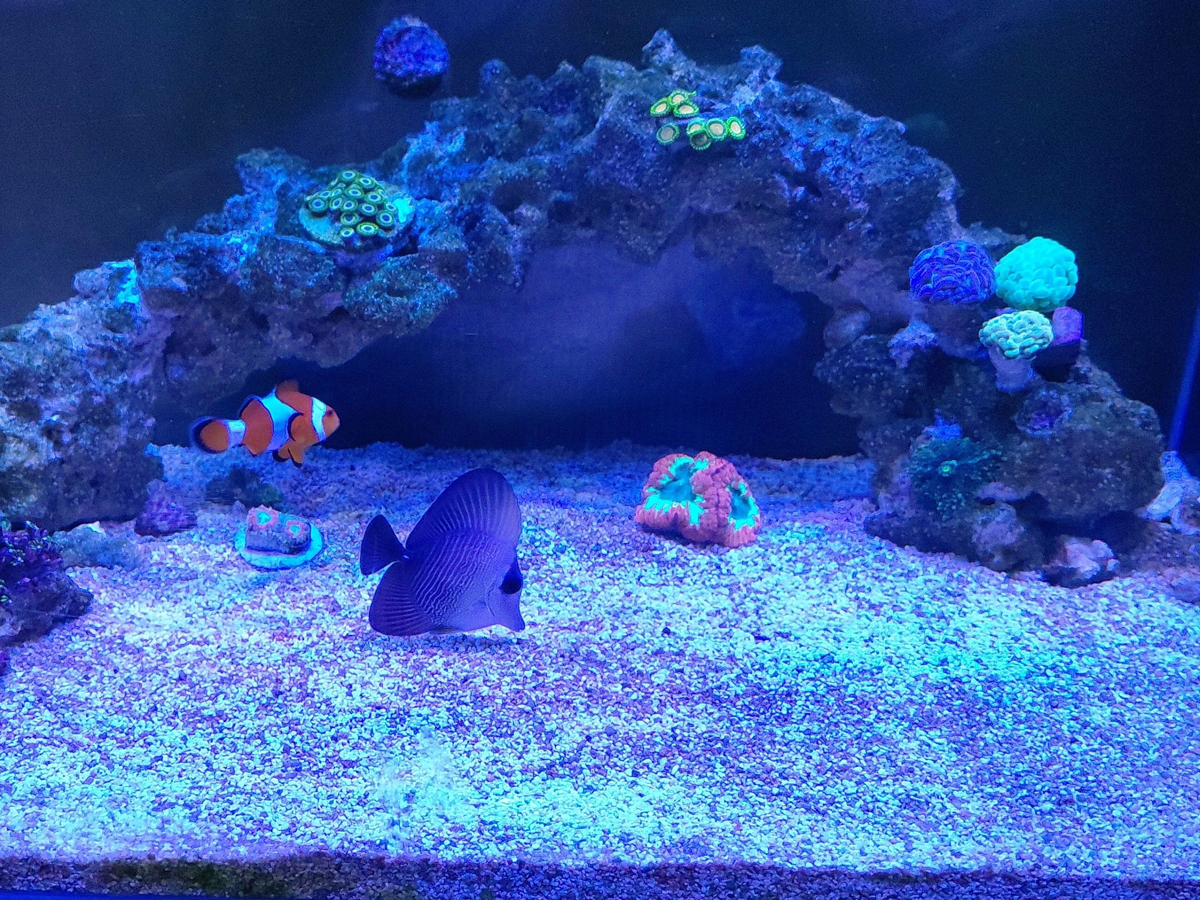 Tank Image