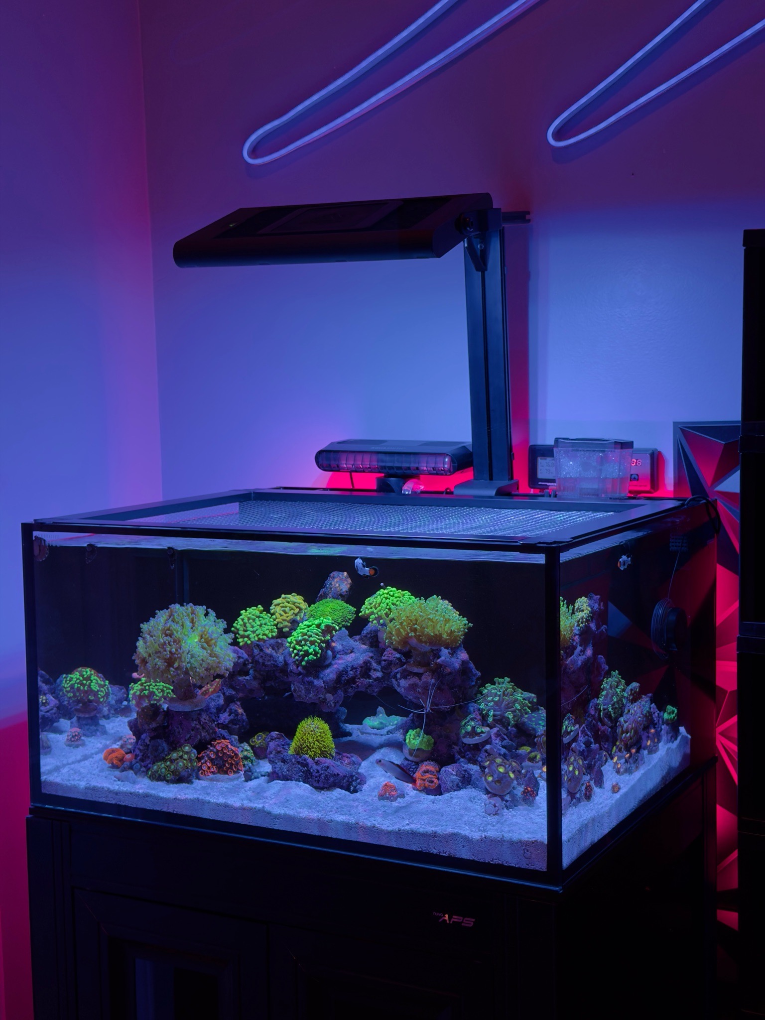 Would you guys add a UV sterilizer to a 25 Lagoon? No disease in the w...