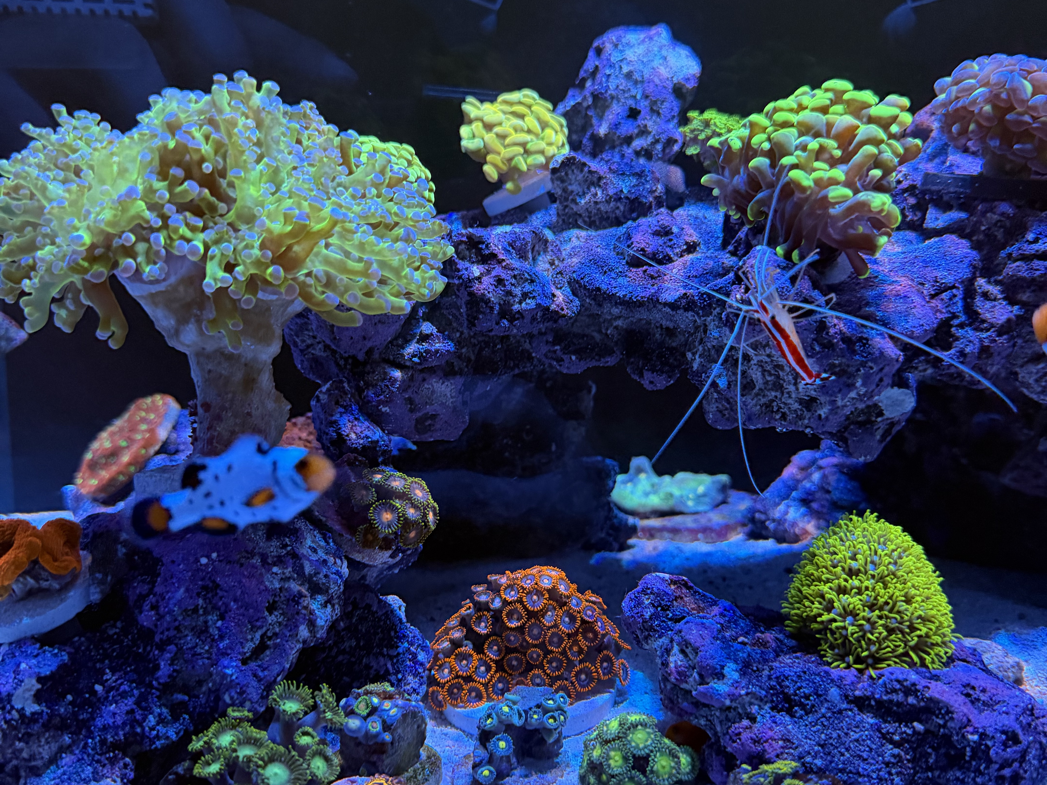 Tank Image