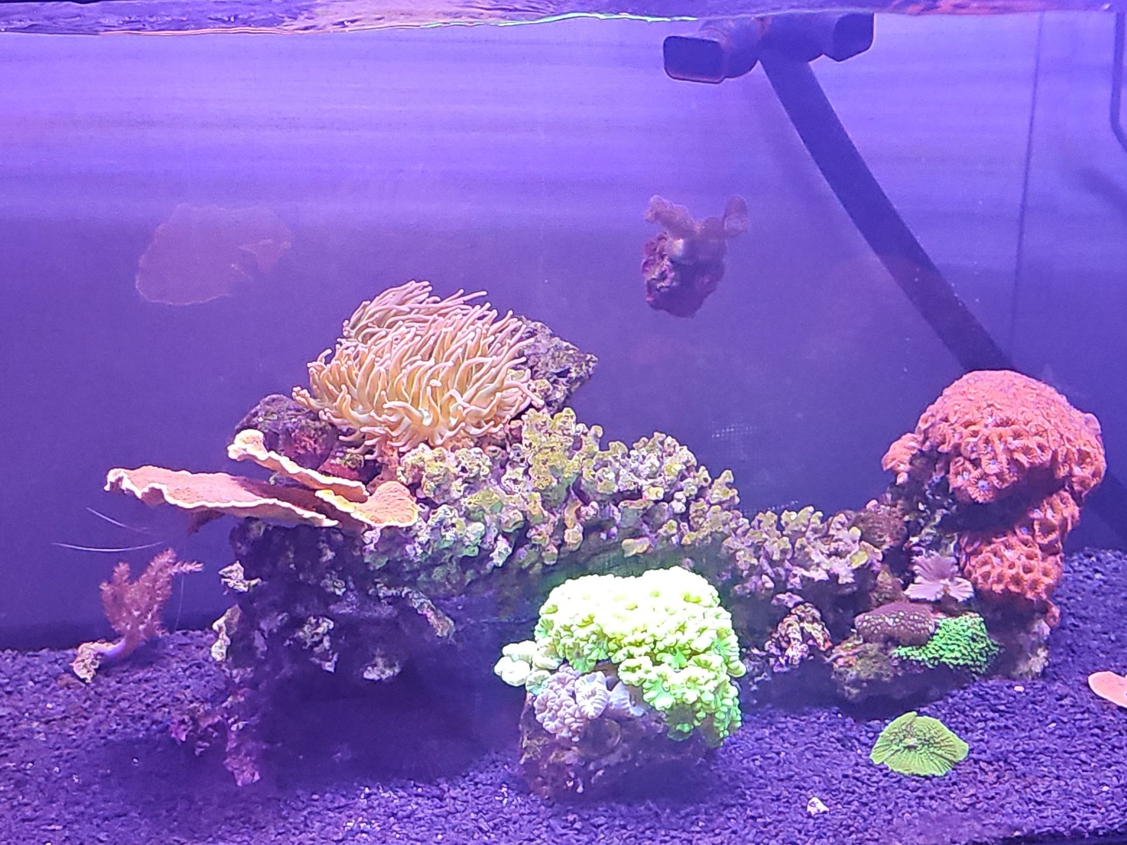 Tank Image