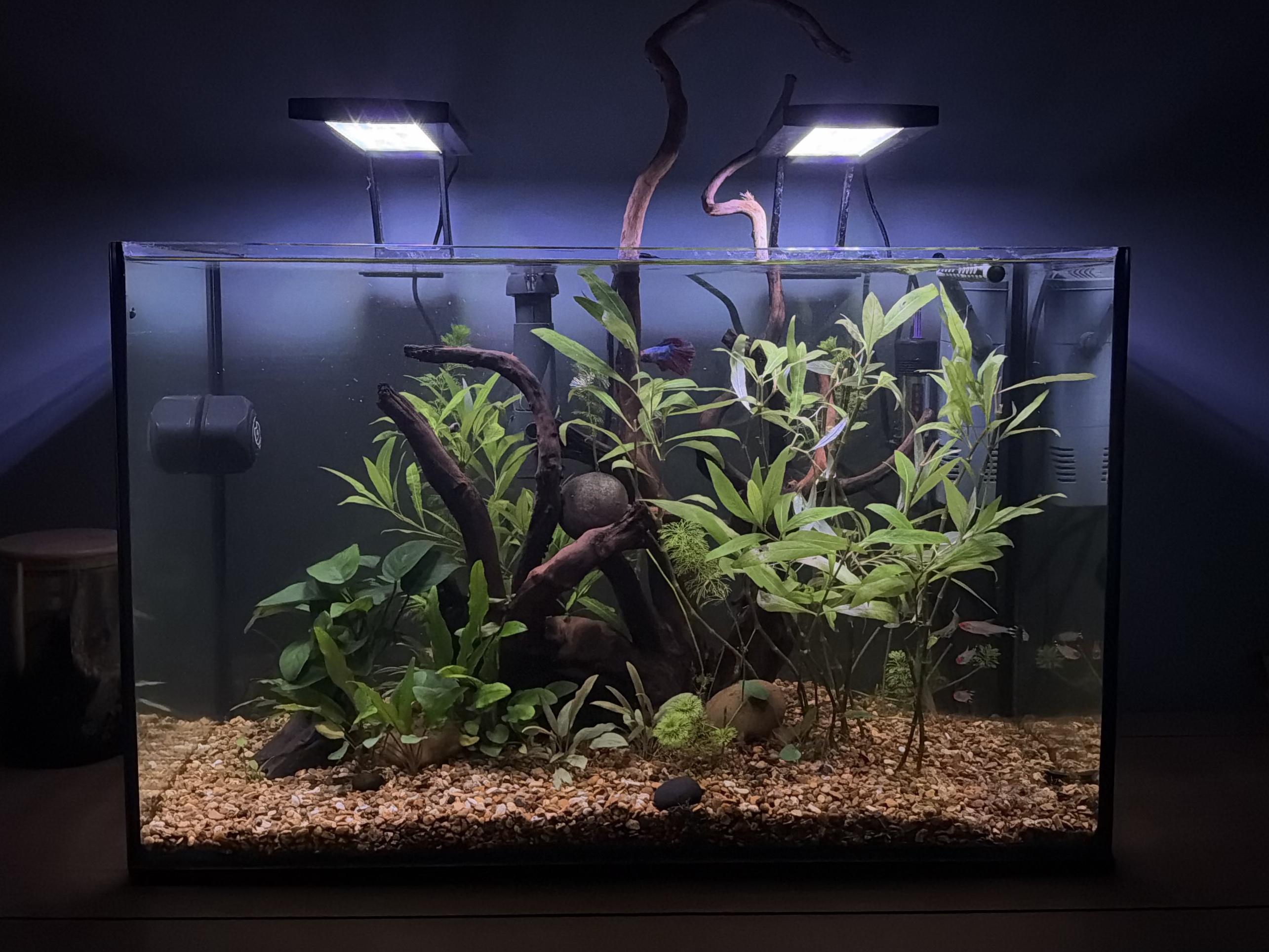 Tank Image
