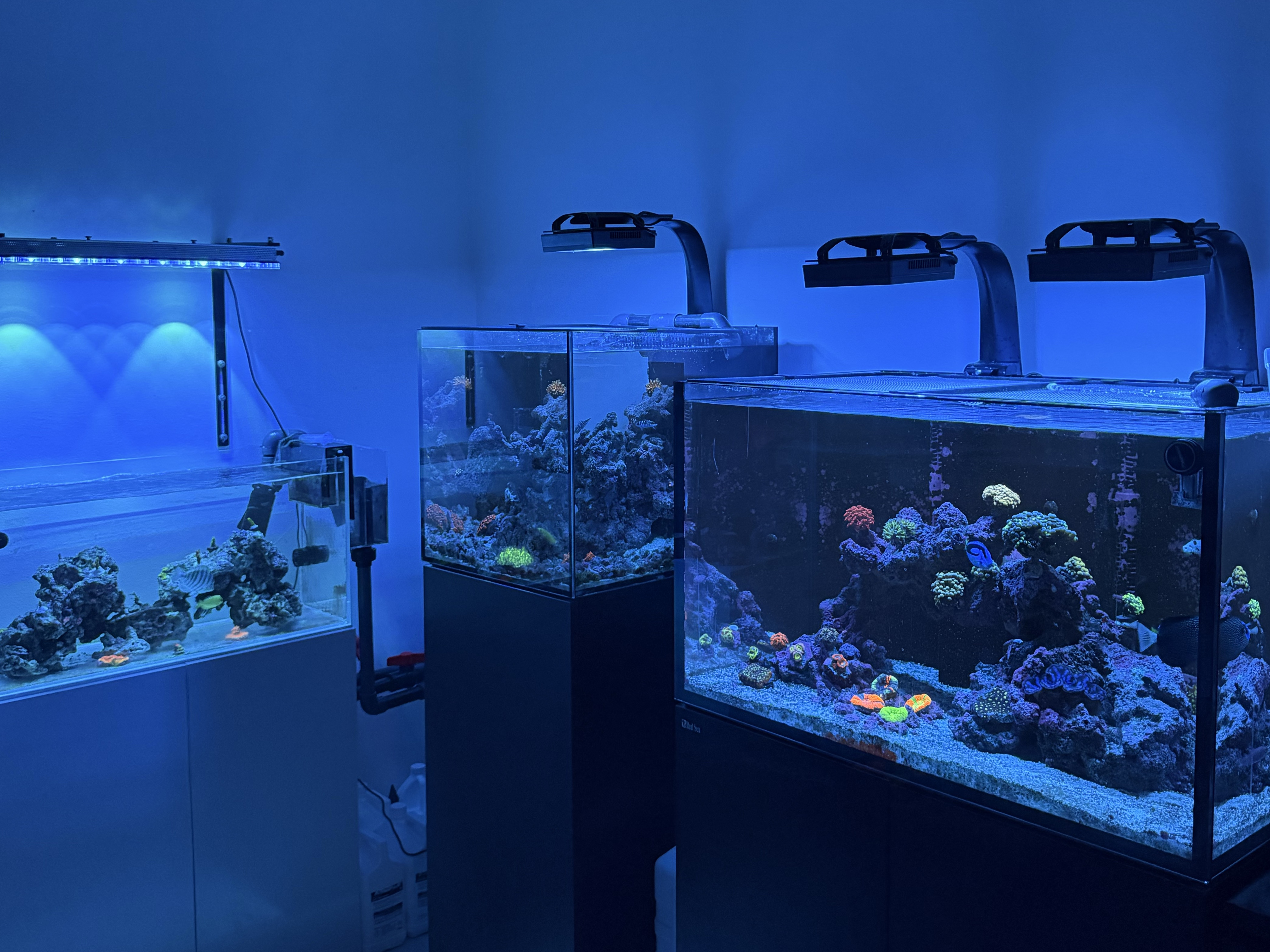 Tank Image