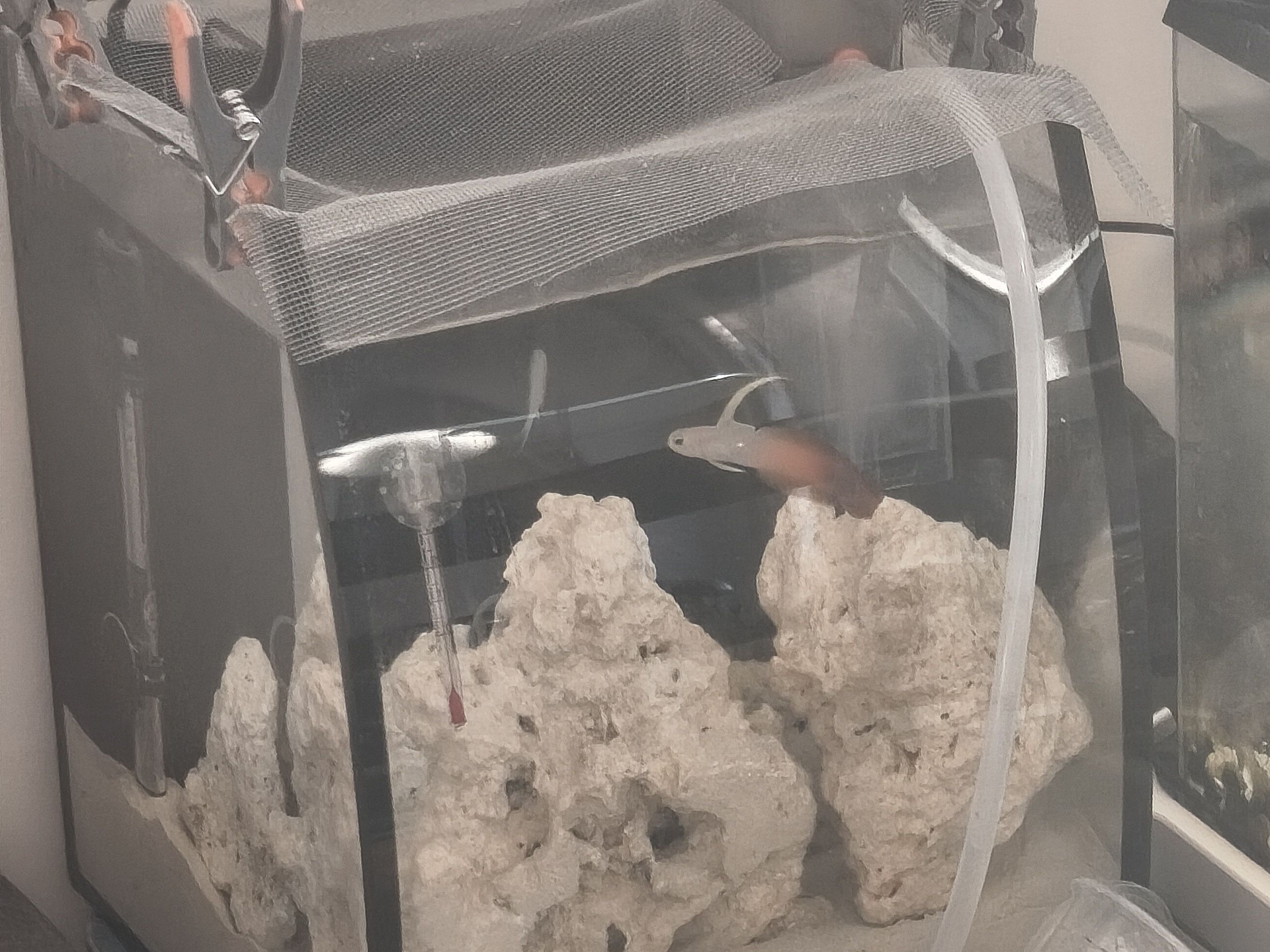 Tank Image