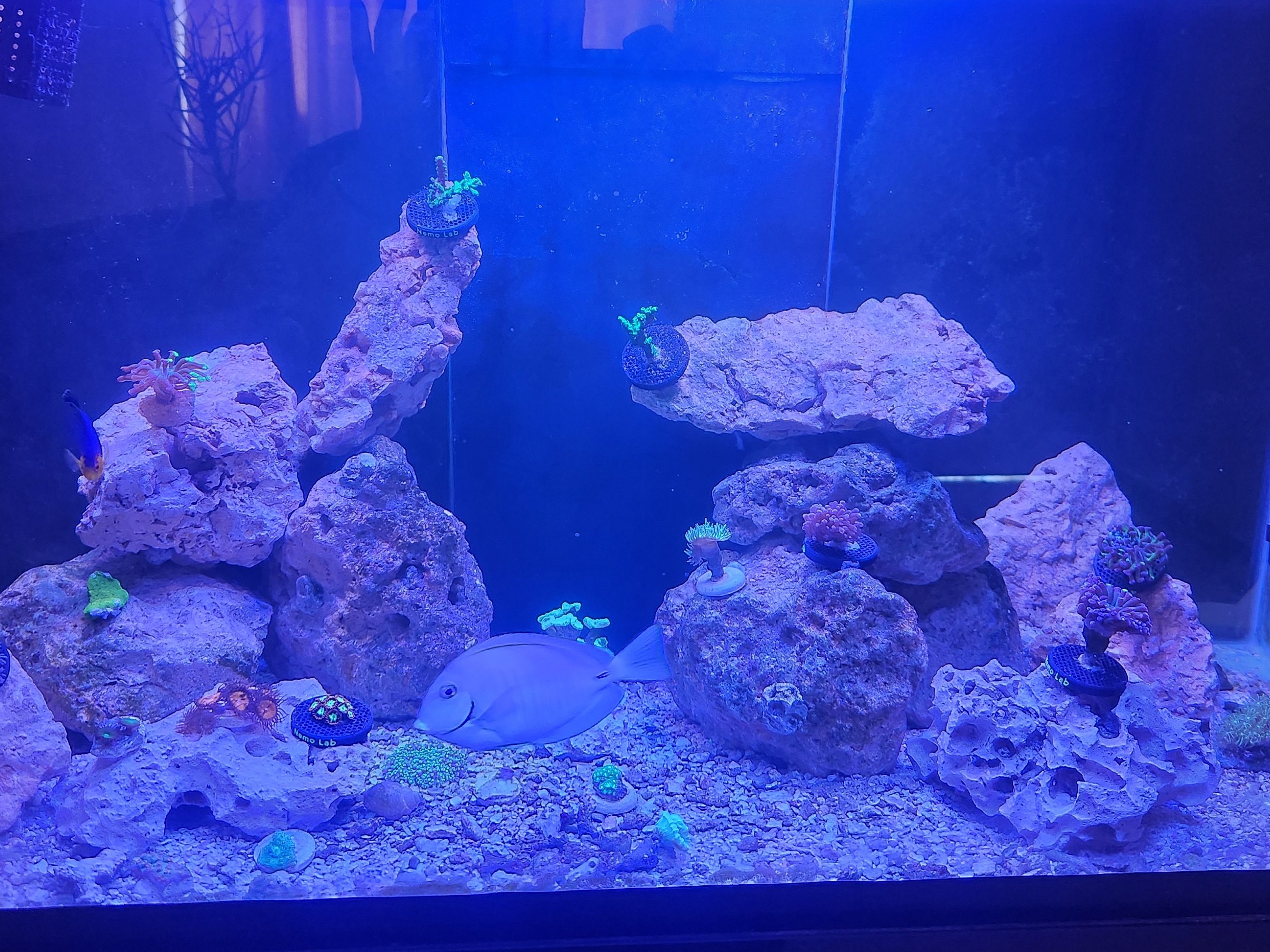 Tank Image