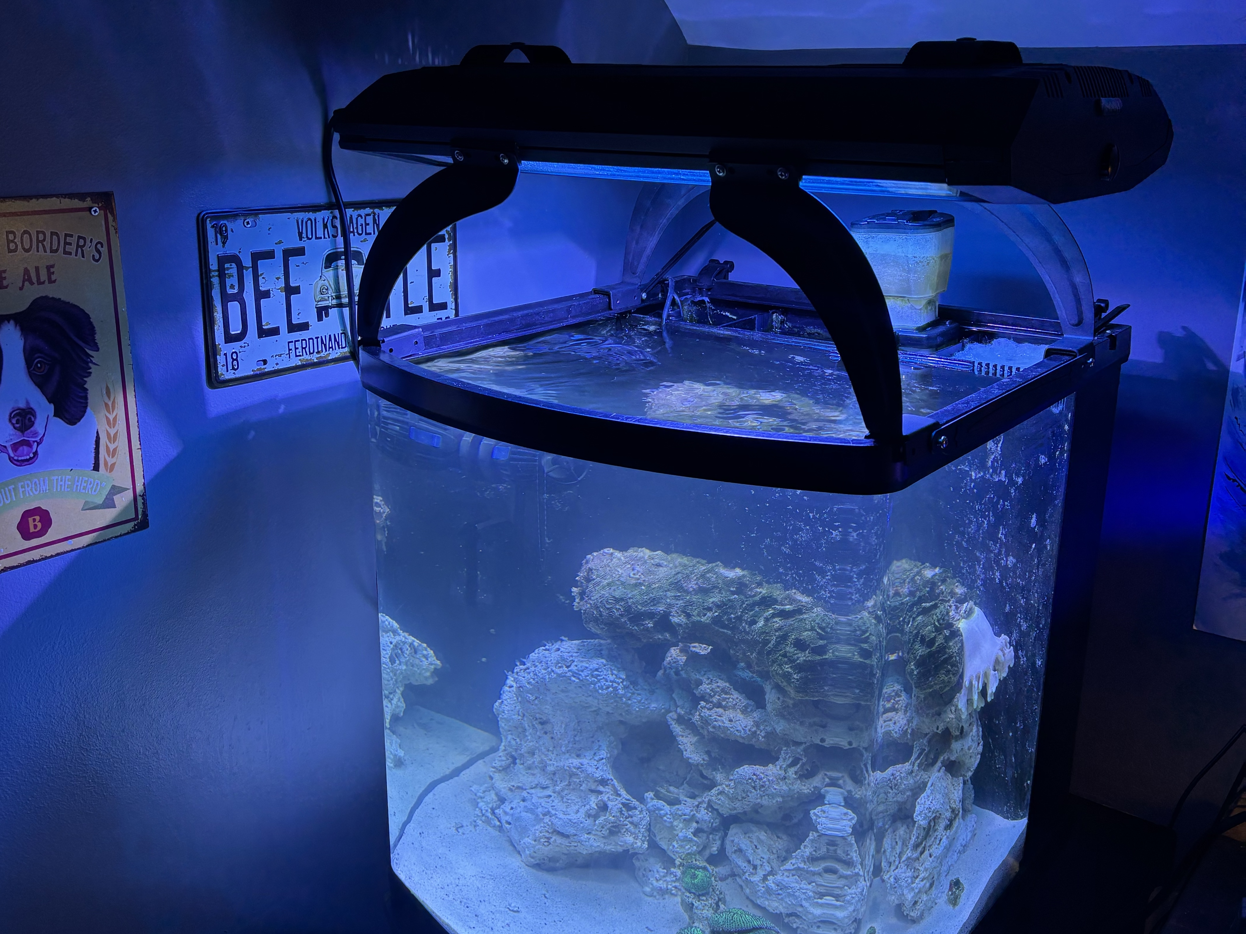 Tank Image