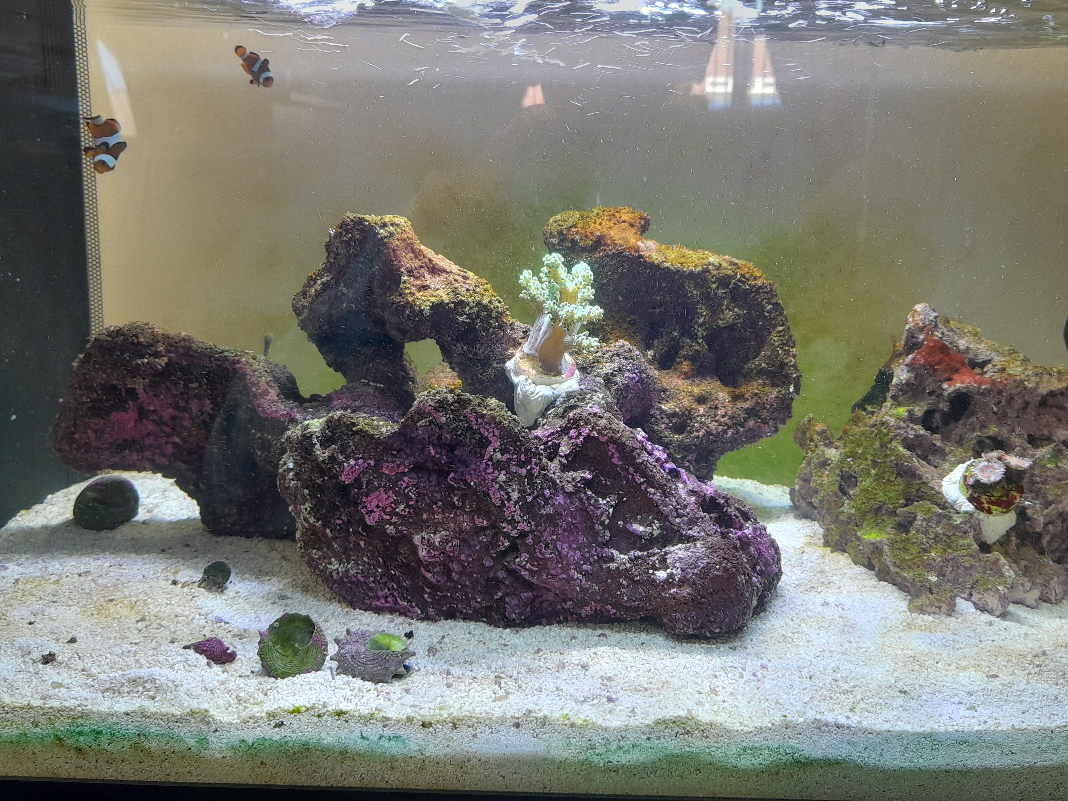 Tank Image