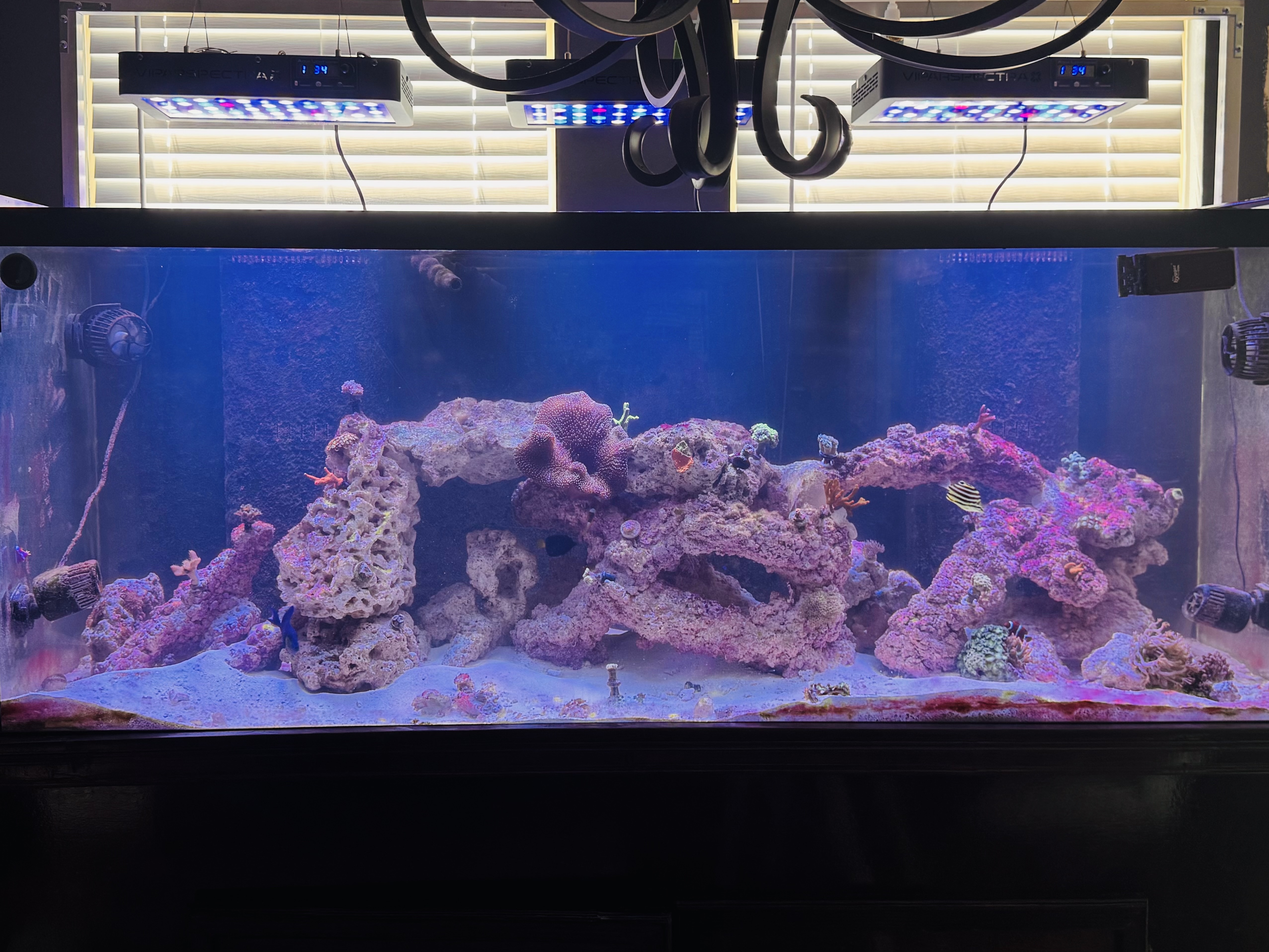 Tank Image
