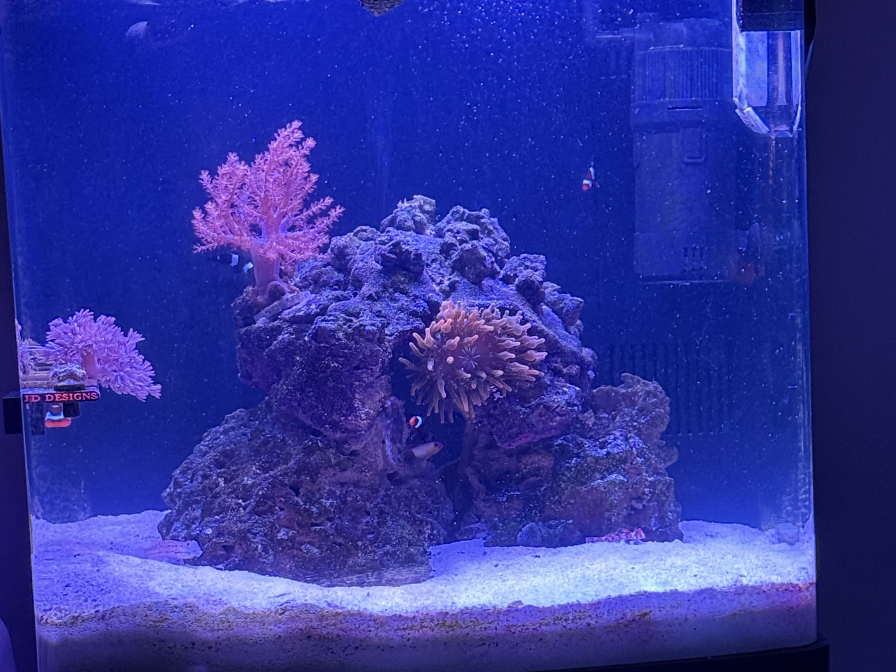 Tank Image