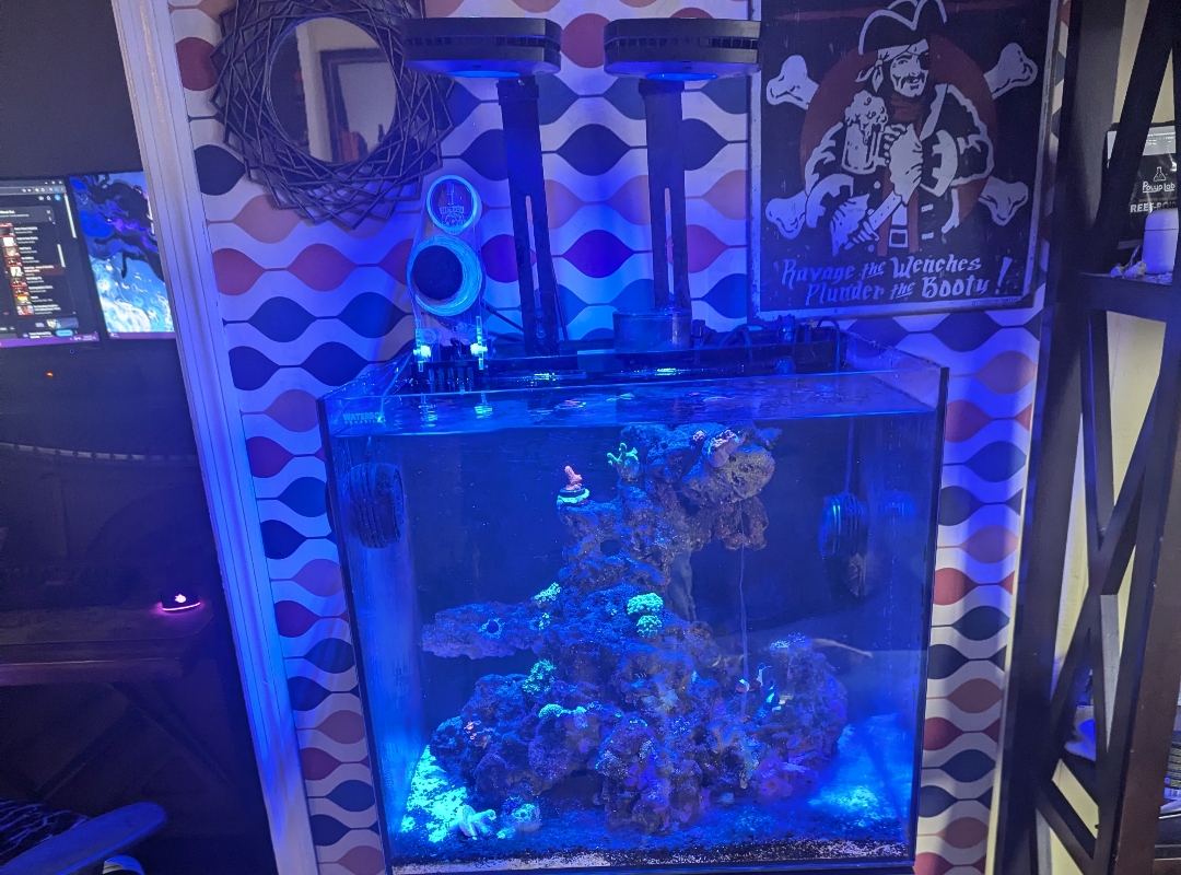 Tank Image