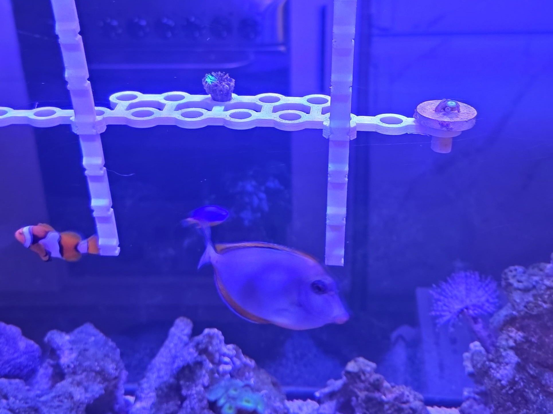 Tank Image