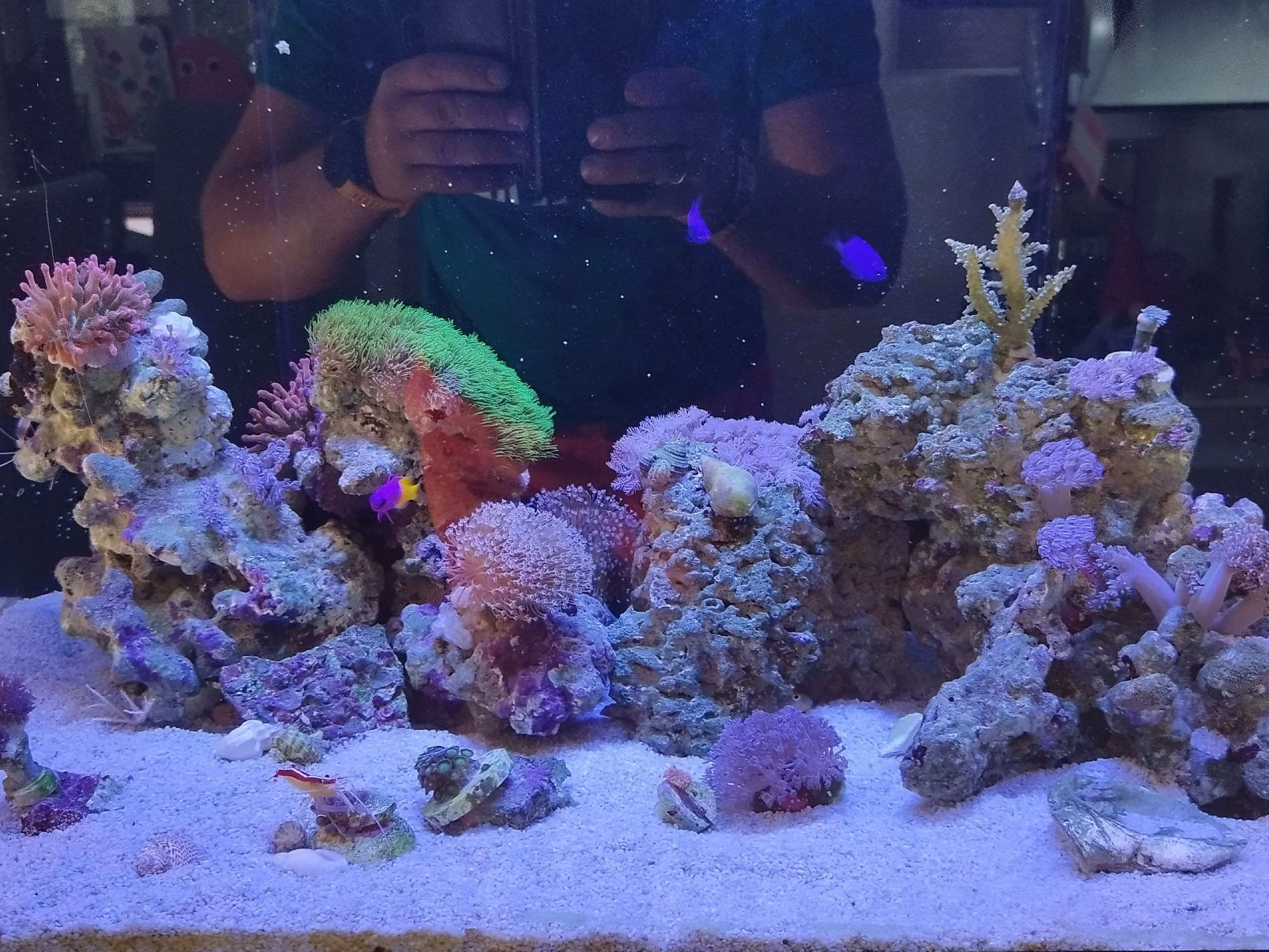 Tank Image