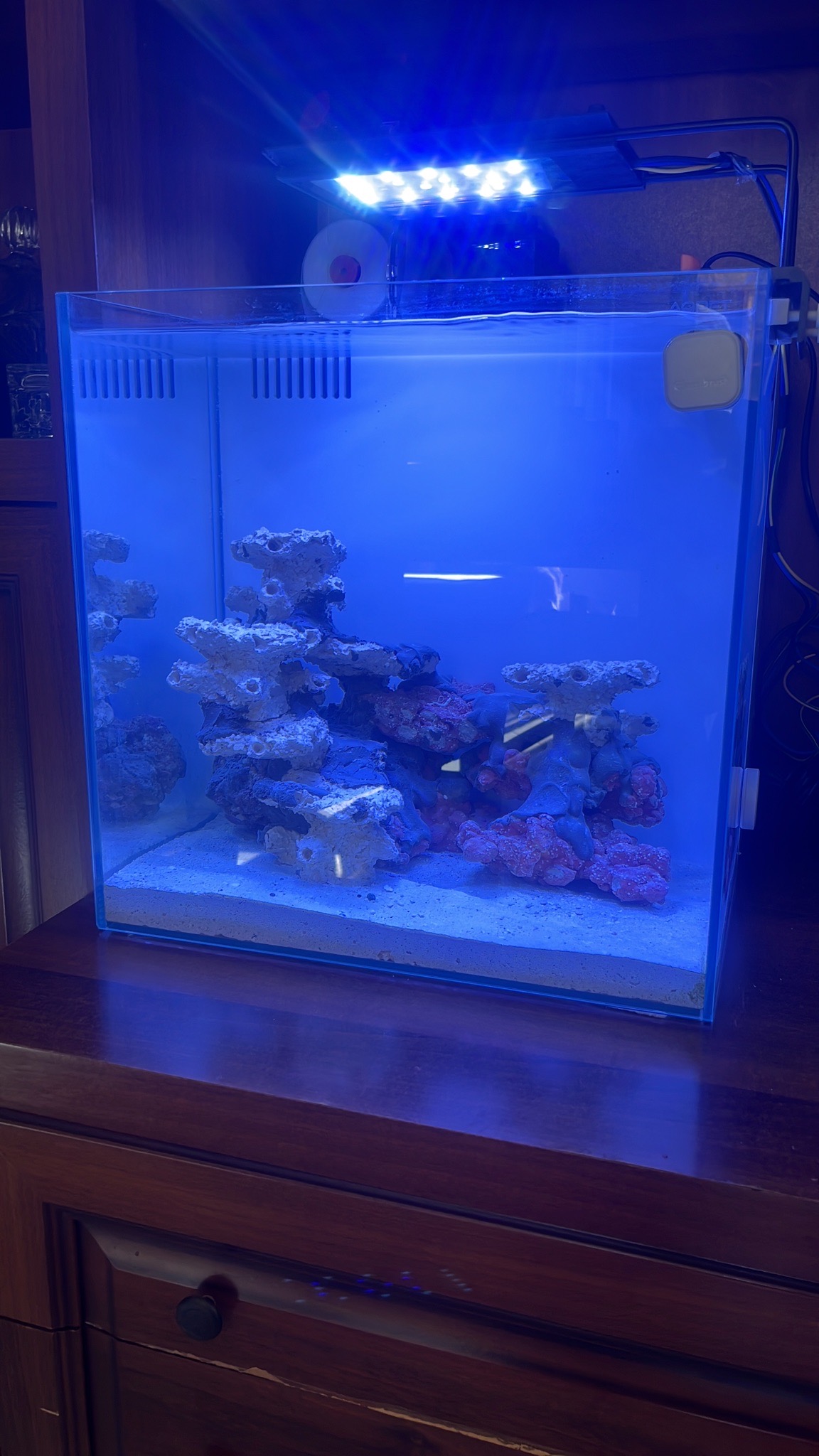 Nano reef tank setup with live rock and blue LED lighting