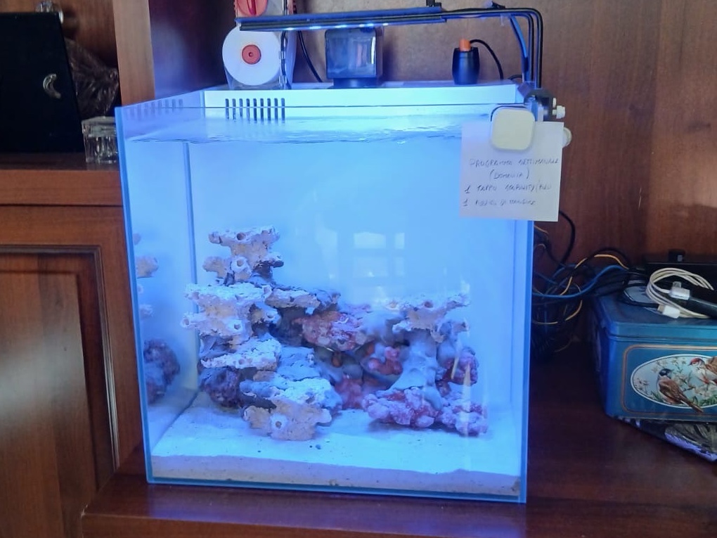 Tank Image