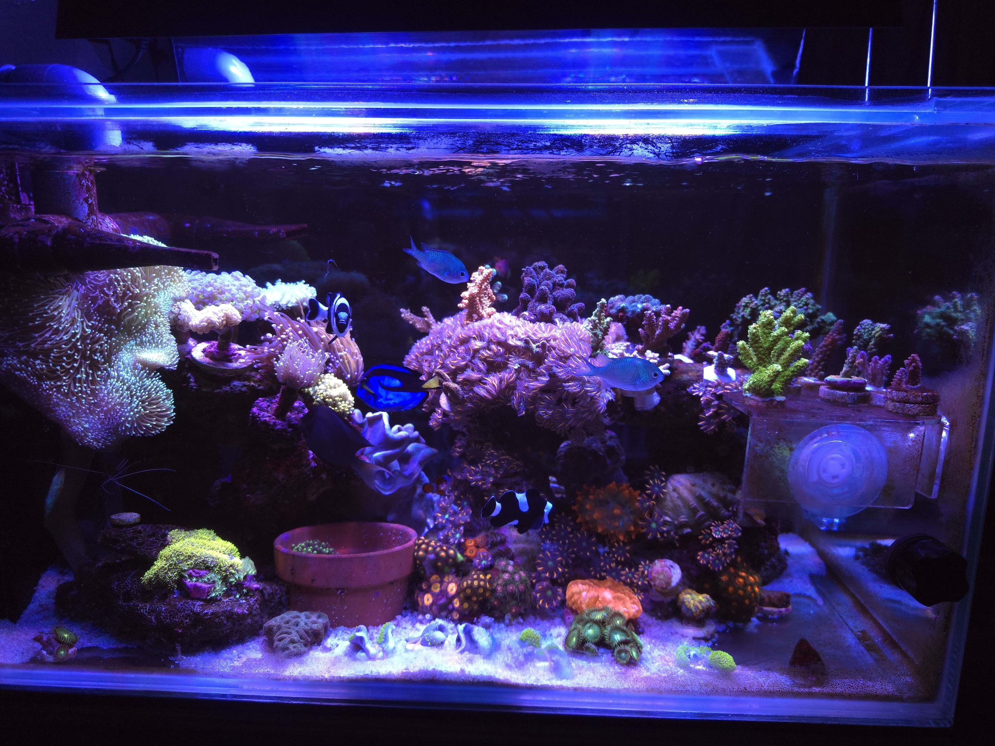 Tank Image