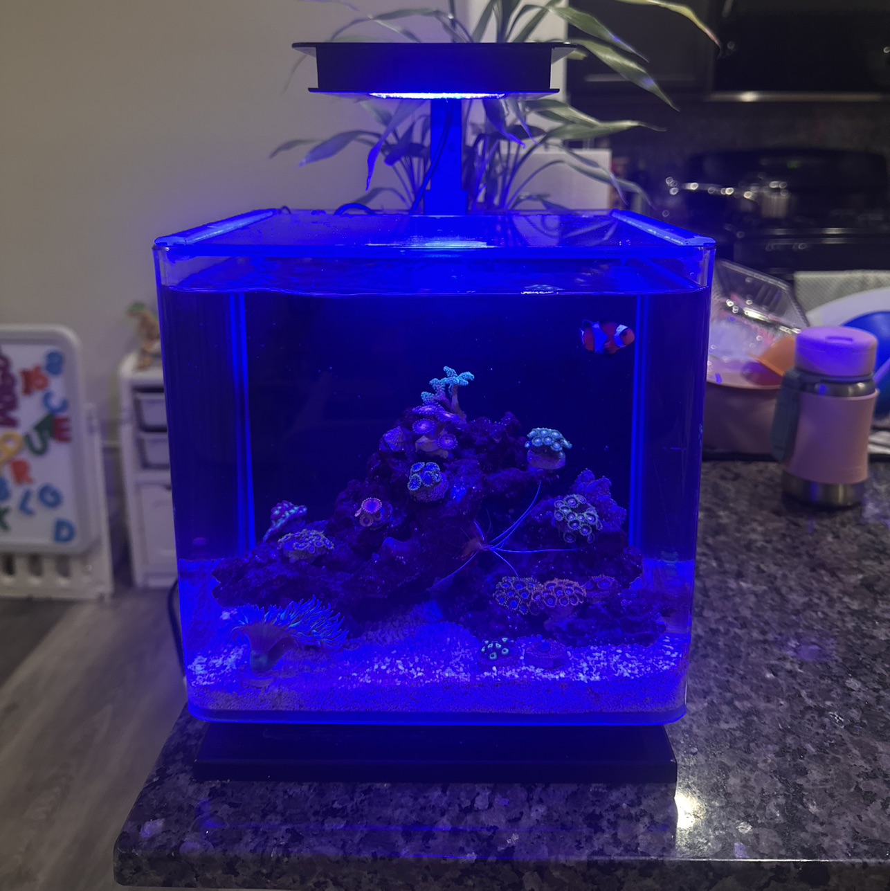 Tank Image