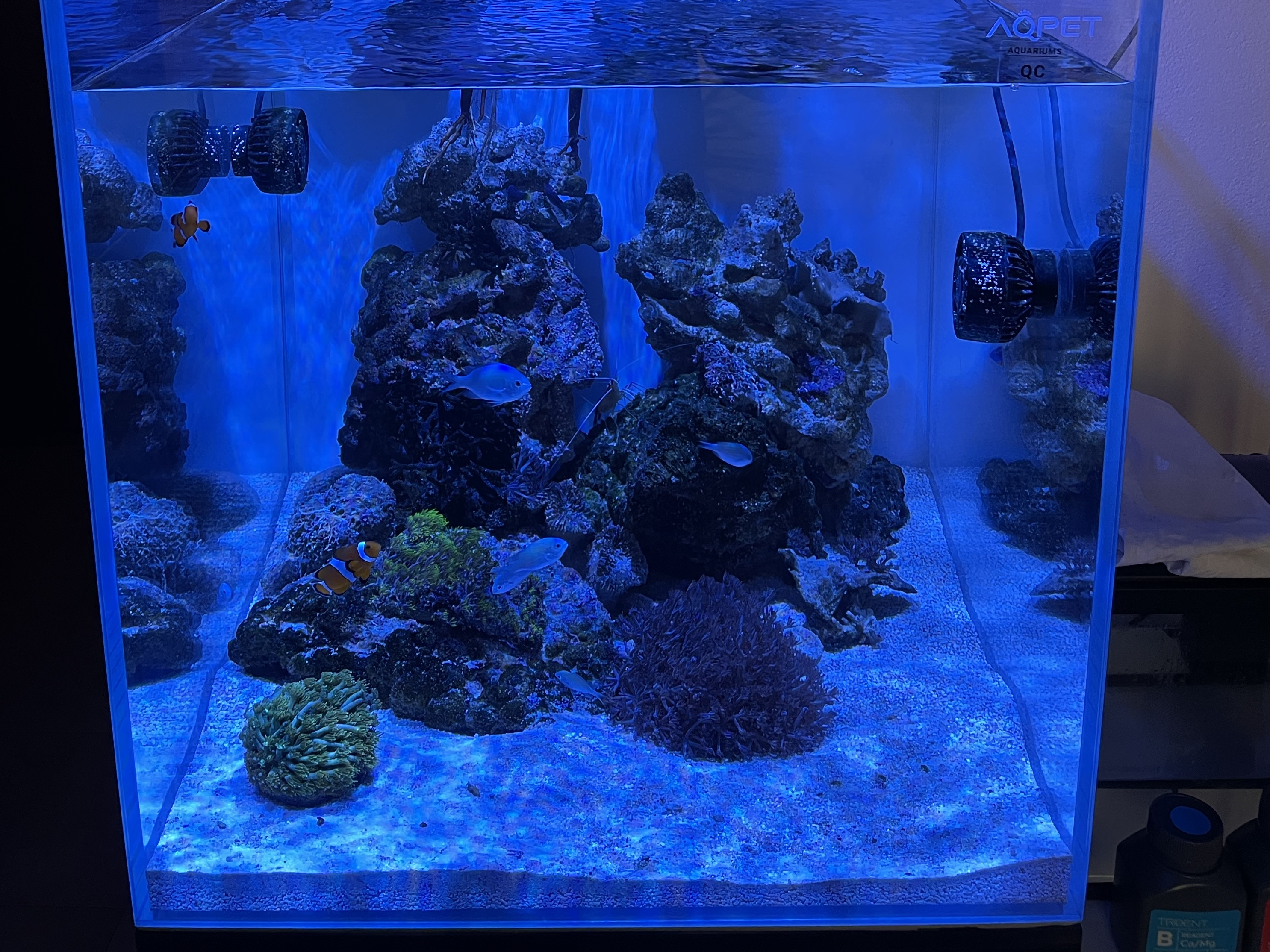Tank Image