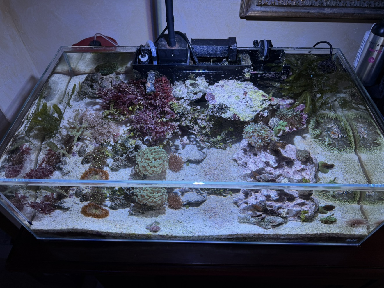 Tank Image