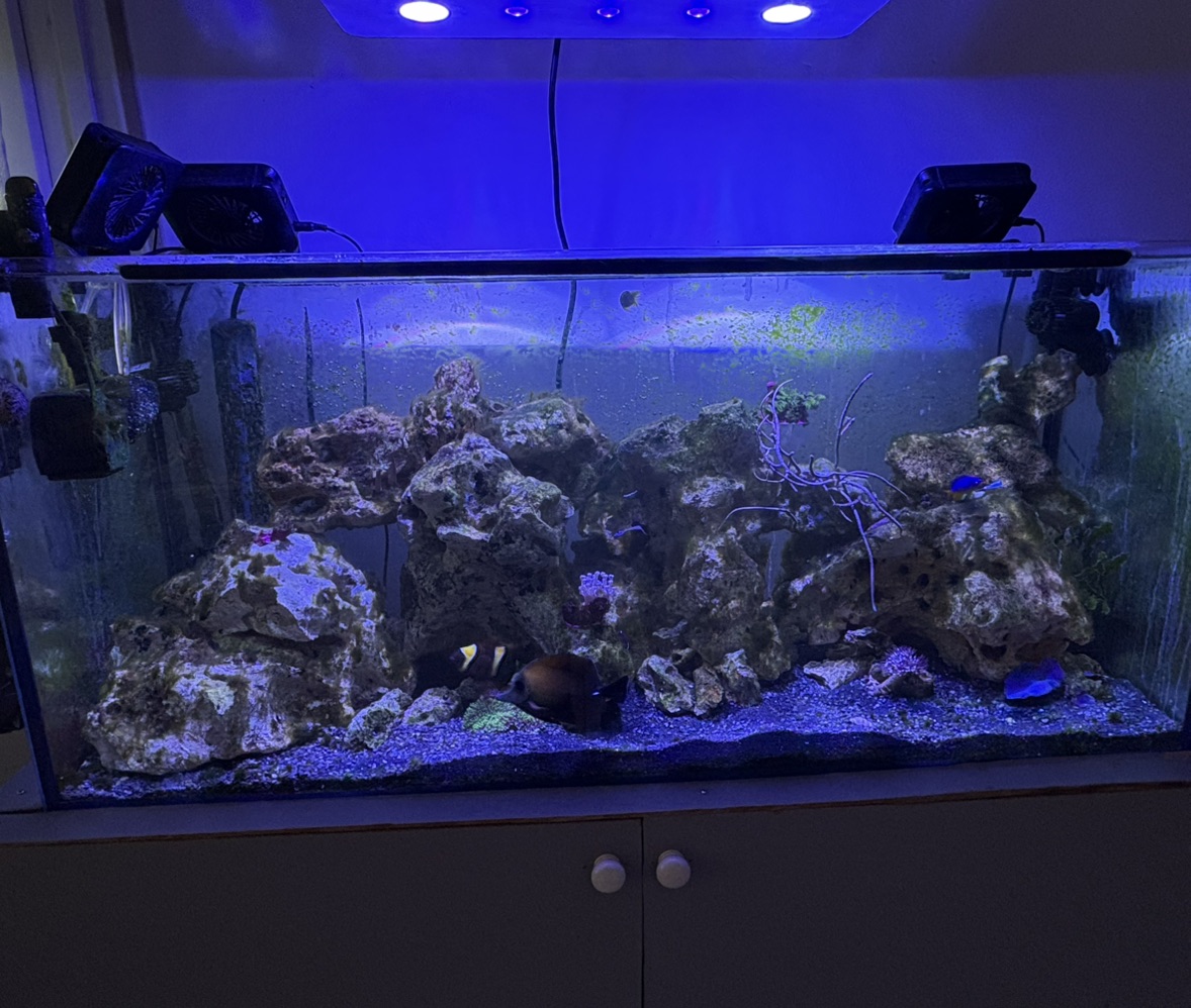 Tank Image