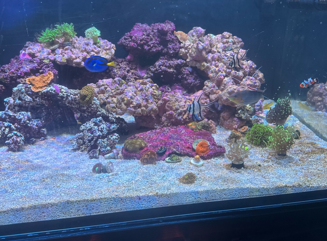 Tank Image