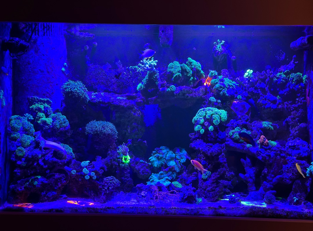 Tank Image