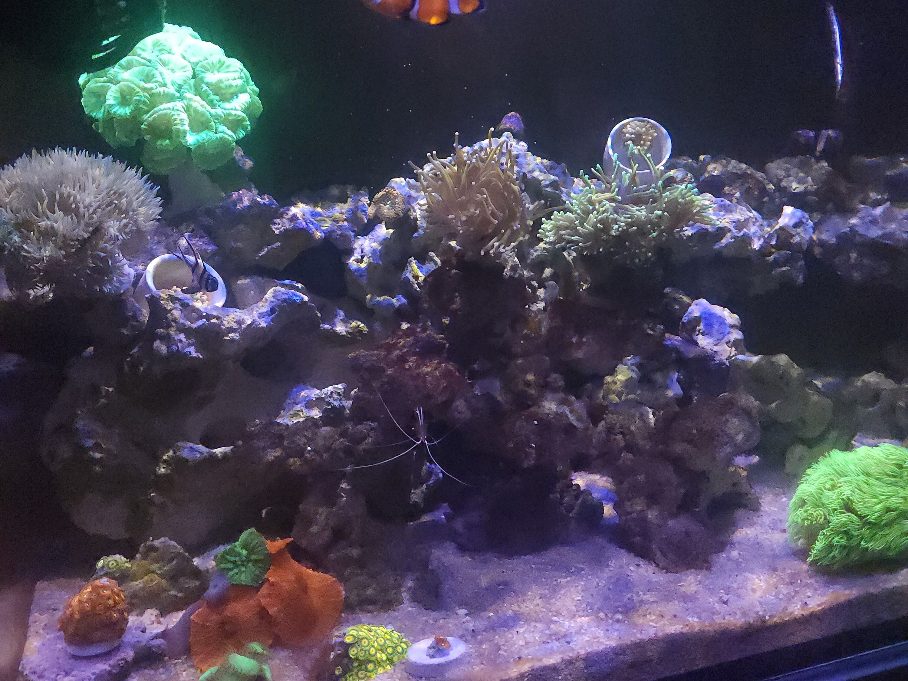 Tank Image
