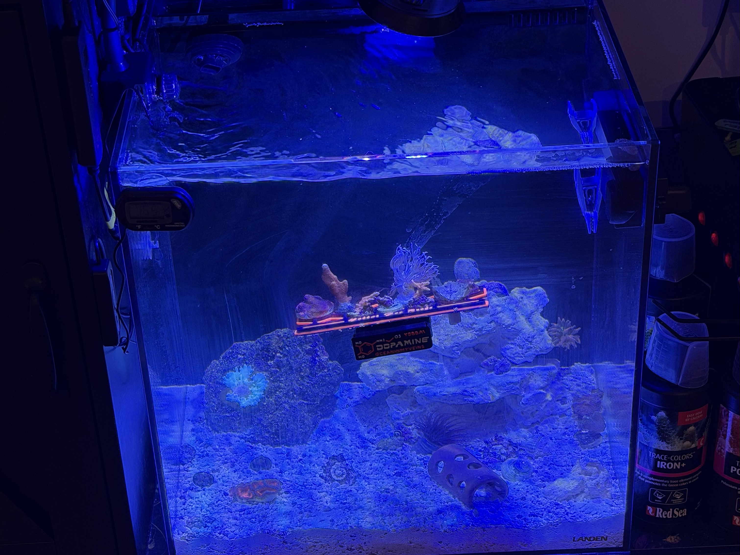 Tank Image