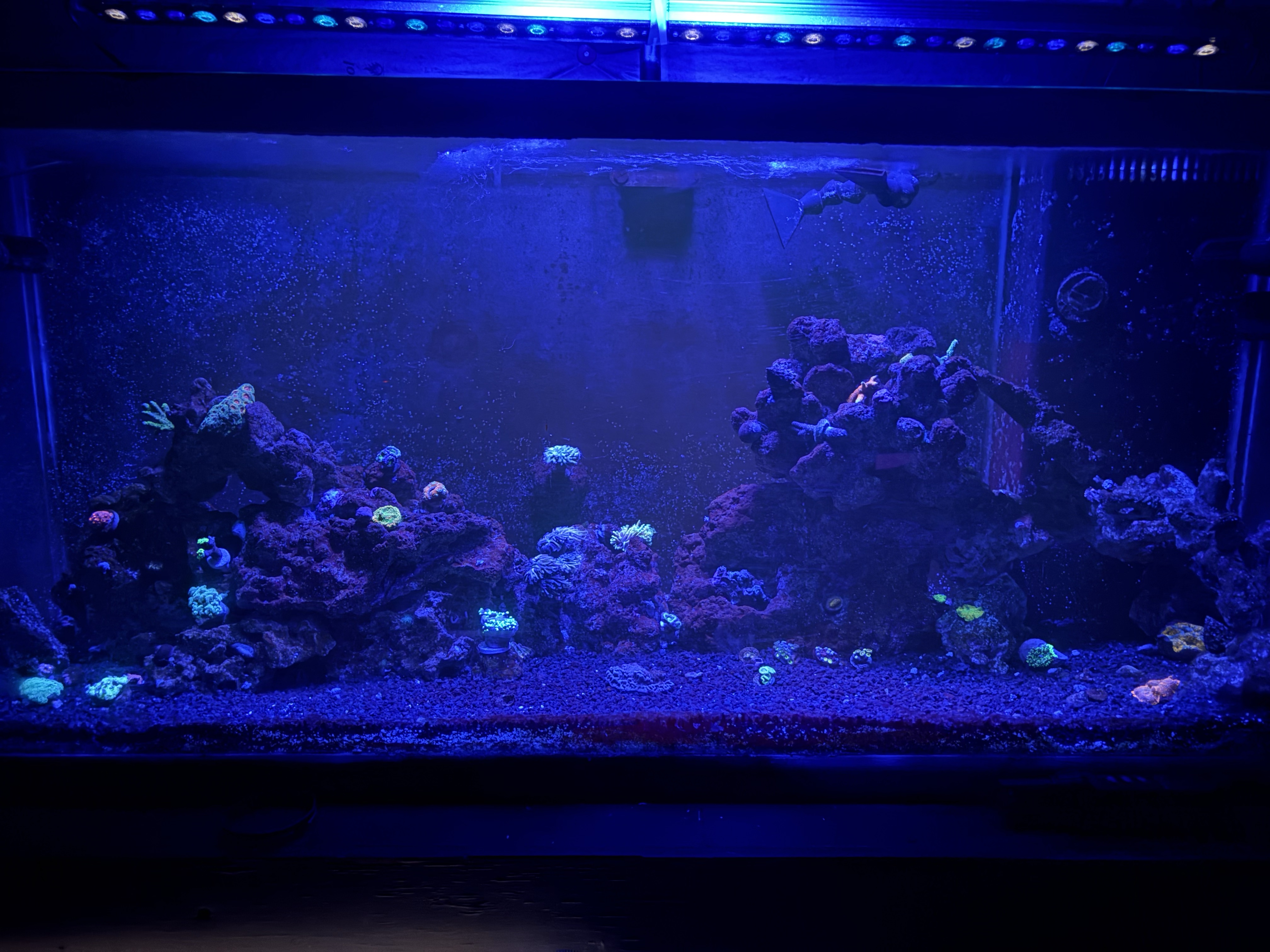 Tank Image
