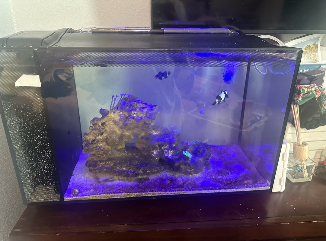 Tank Image