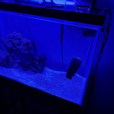 aidenreefer