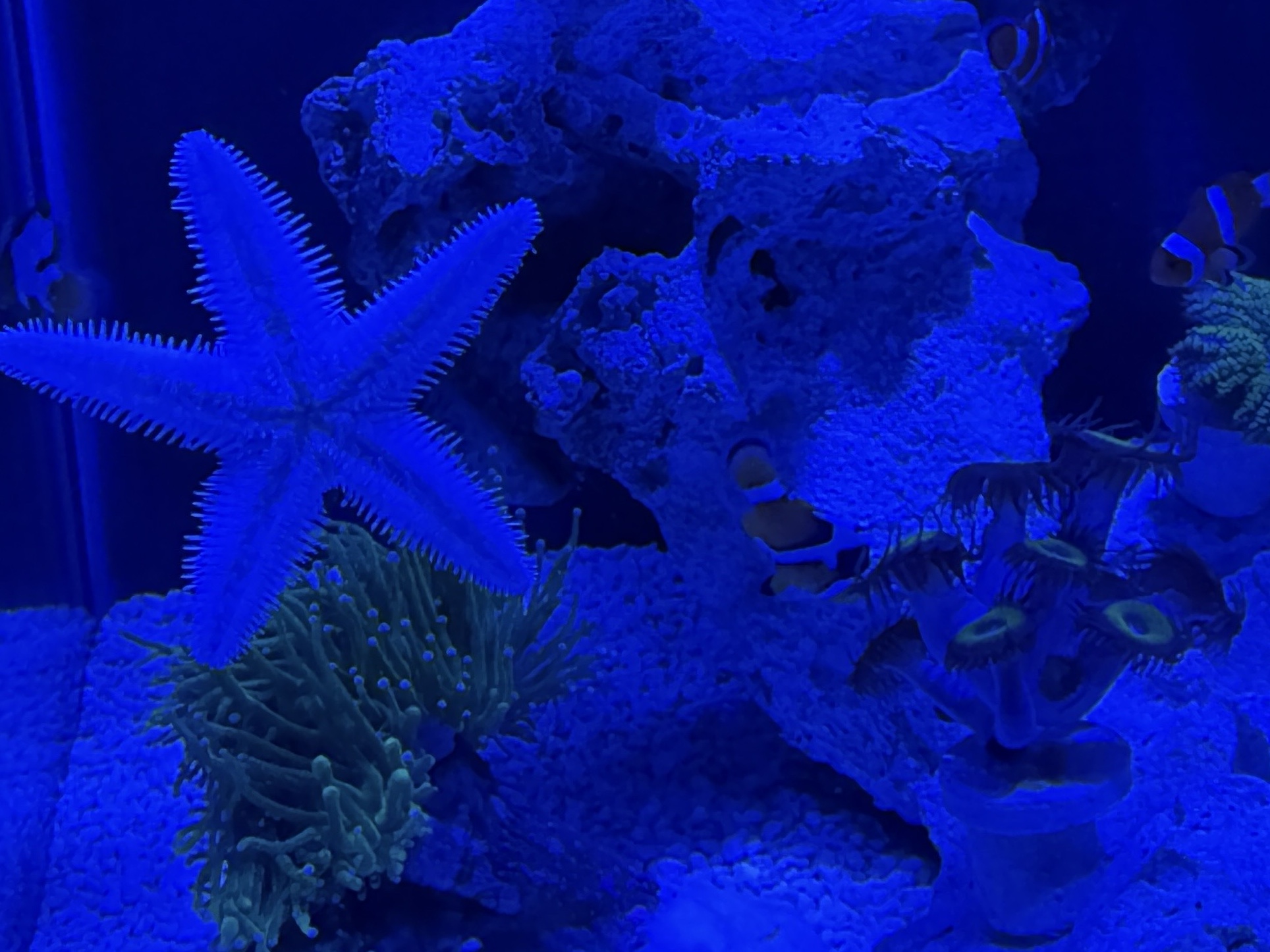 Tank Image