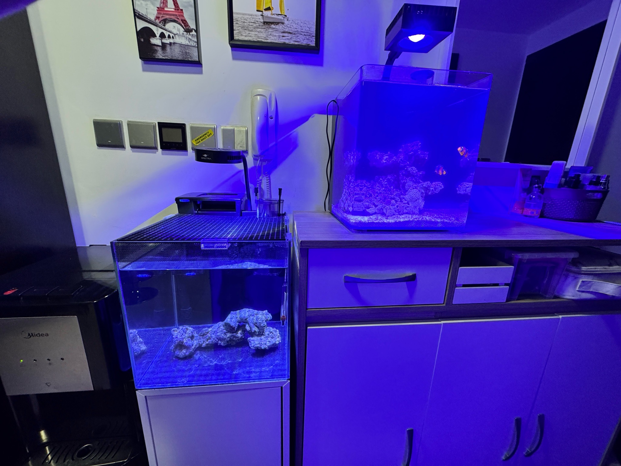 Hi, this is my second setup and any recommendations what fish should I...