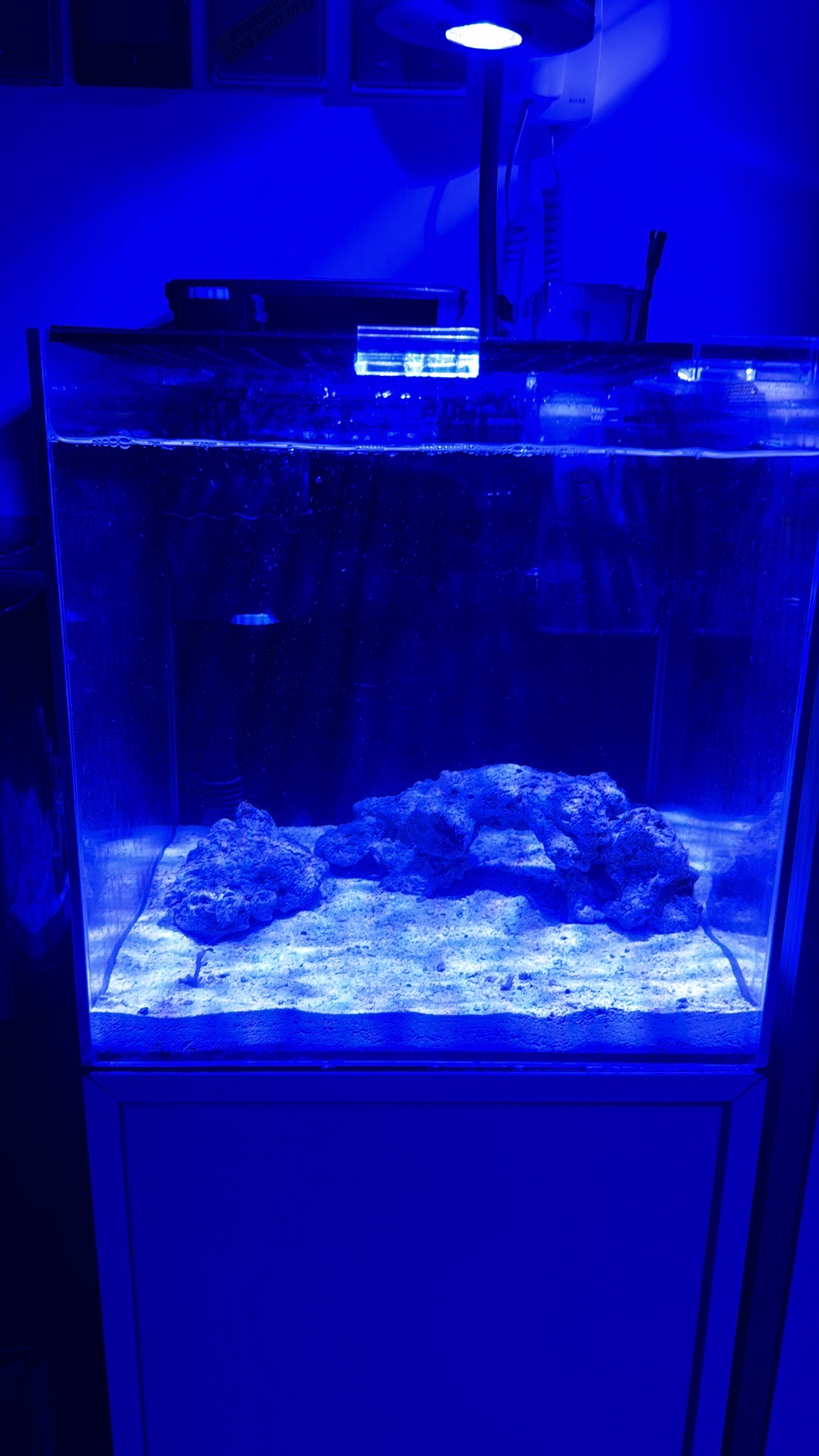Hi, this is my second setup and any recommendations what fish should I... (photo 2)