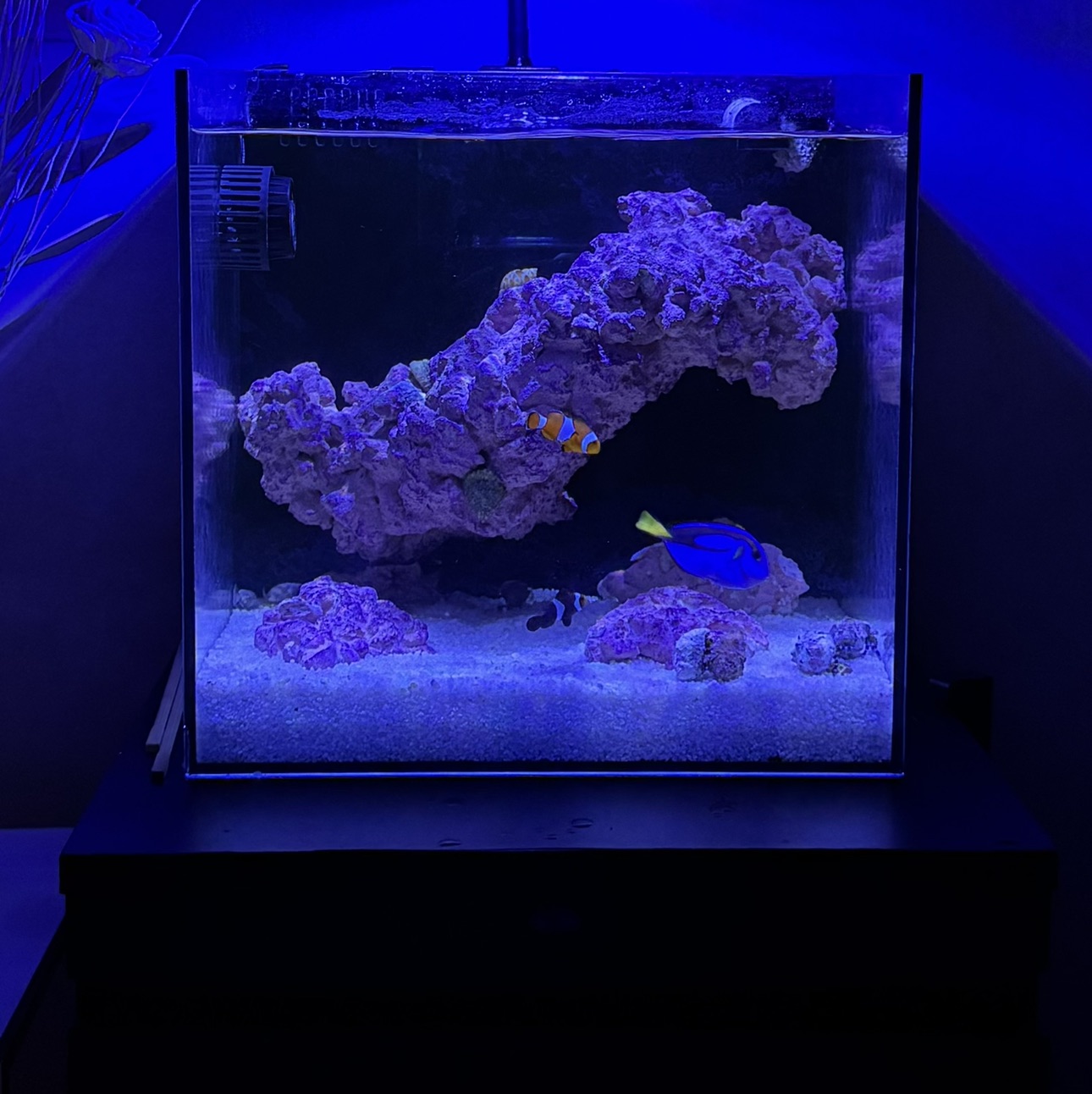 Tank Image
