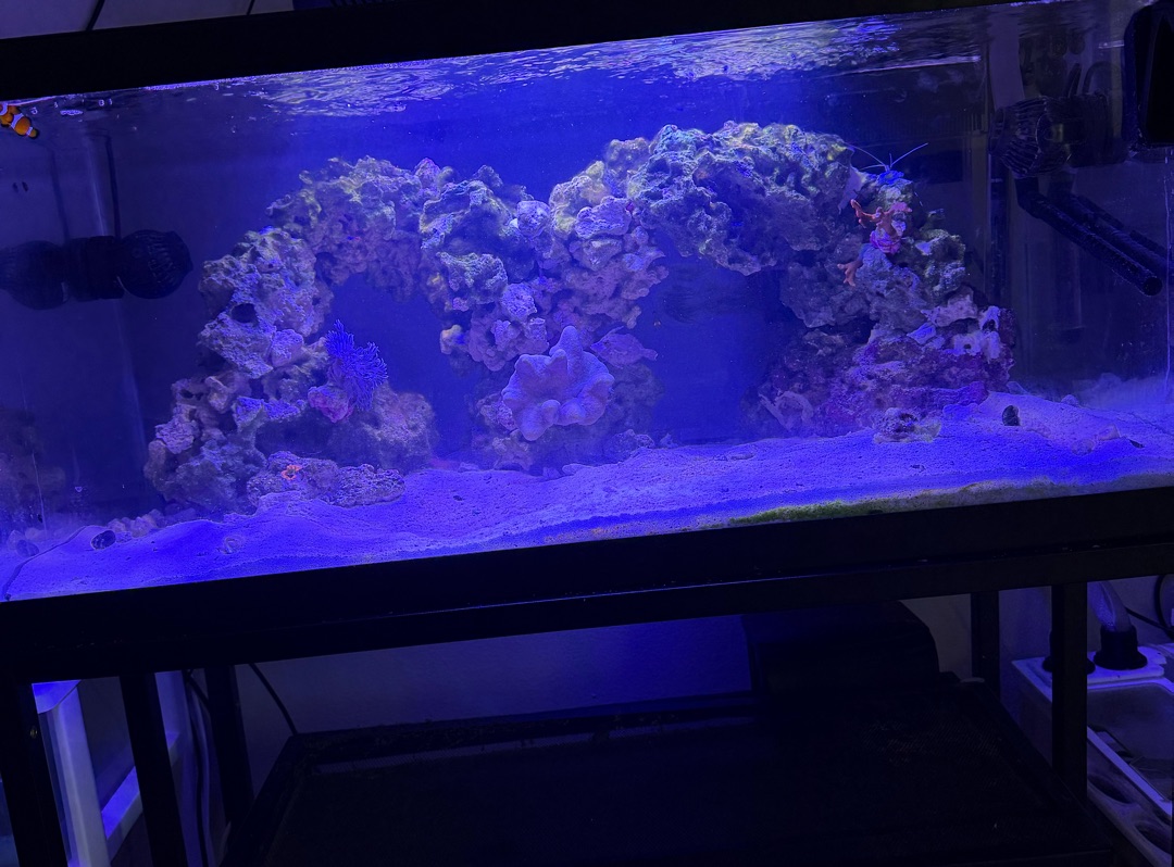 Tank Image