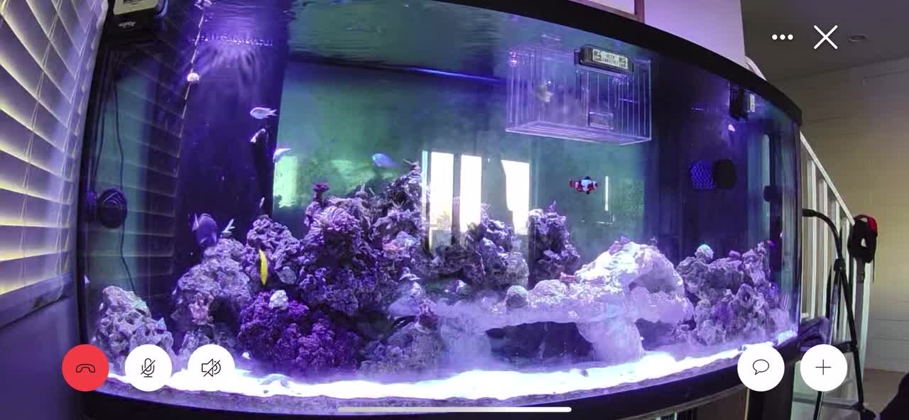 Not my coworker and I tuning into my camera to watch my fish for 10 mi...