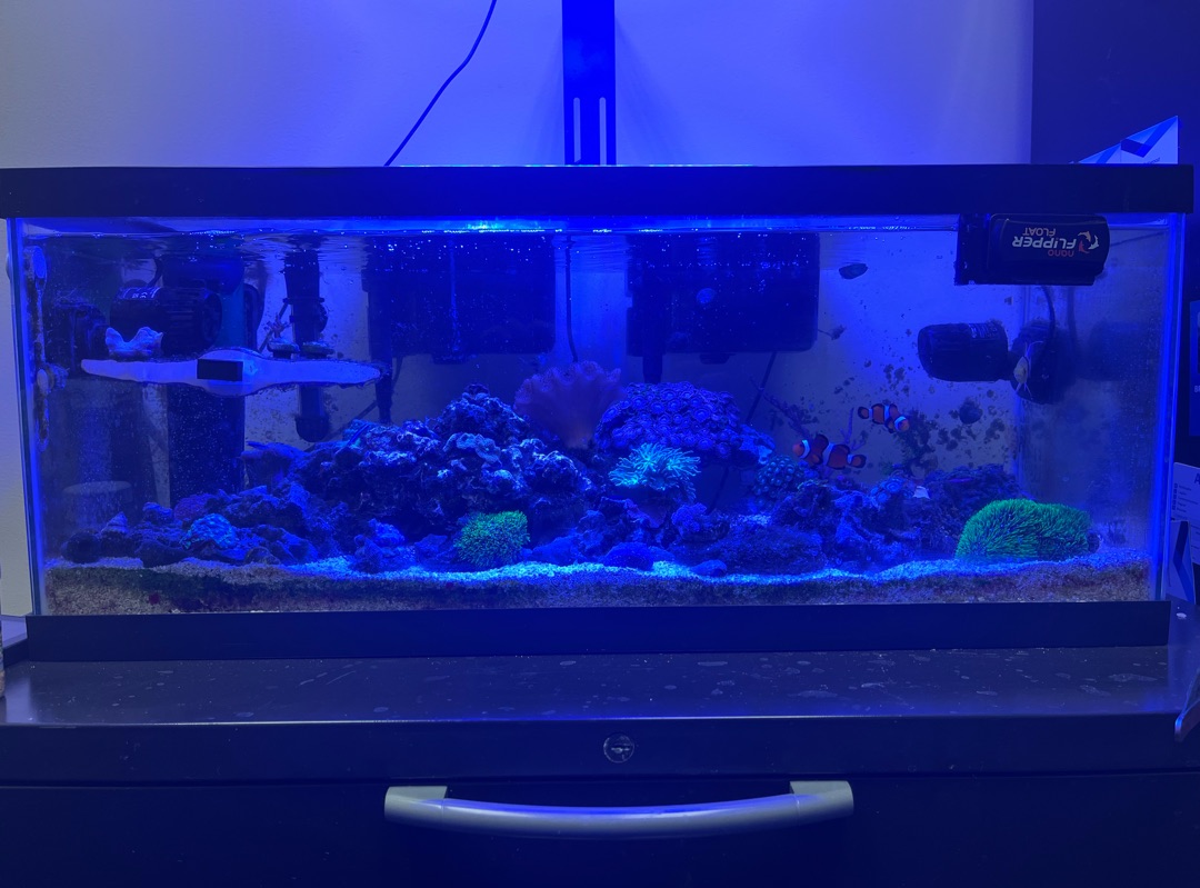 Tank Image
