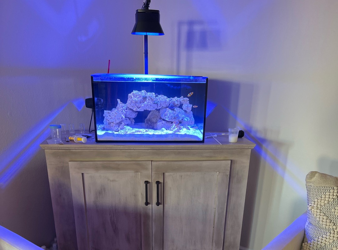 Tank Image