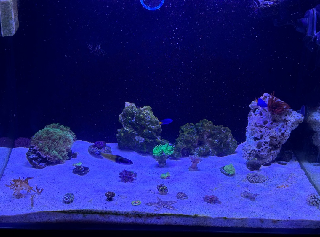 Tank Image