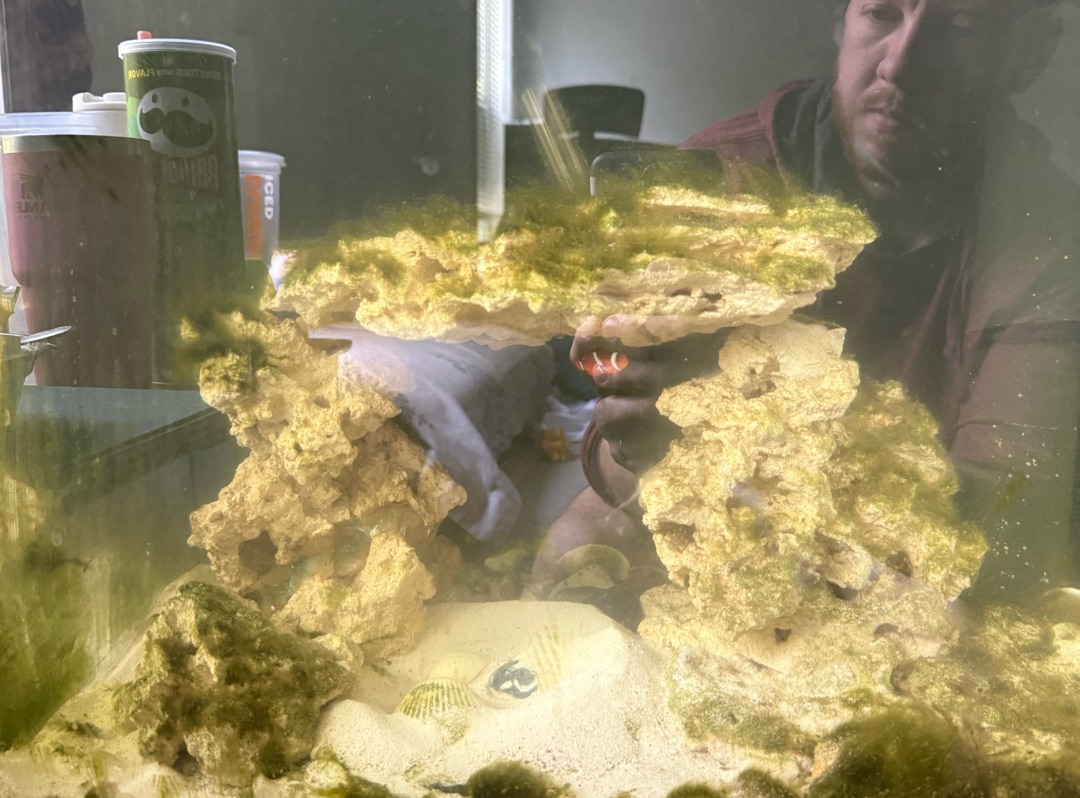 Tank Image