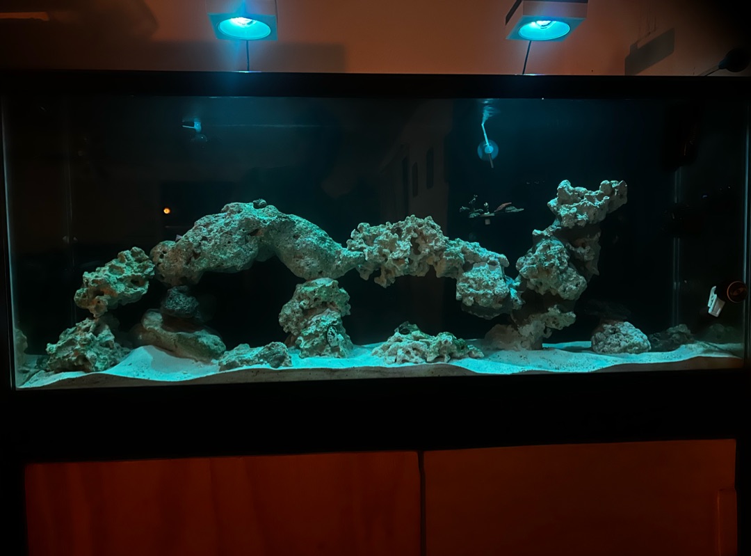 Tank Image