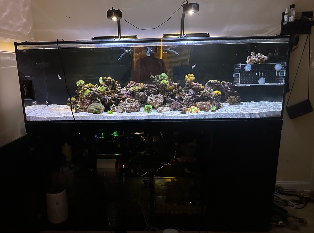 Tank Image