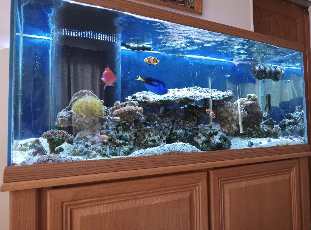 Tank Image