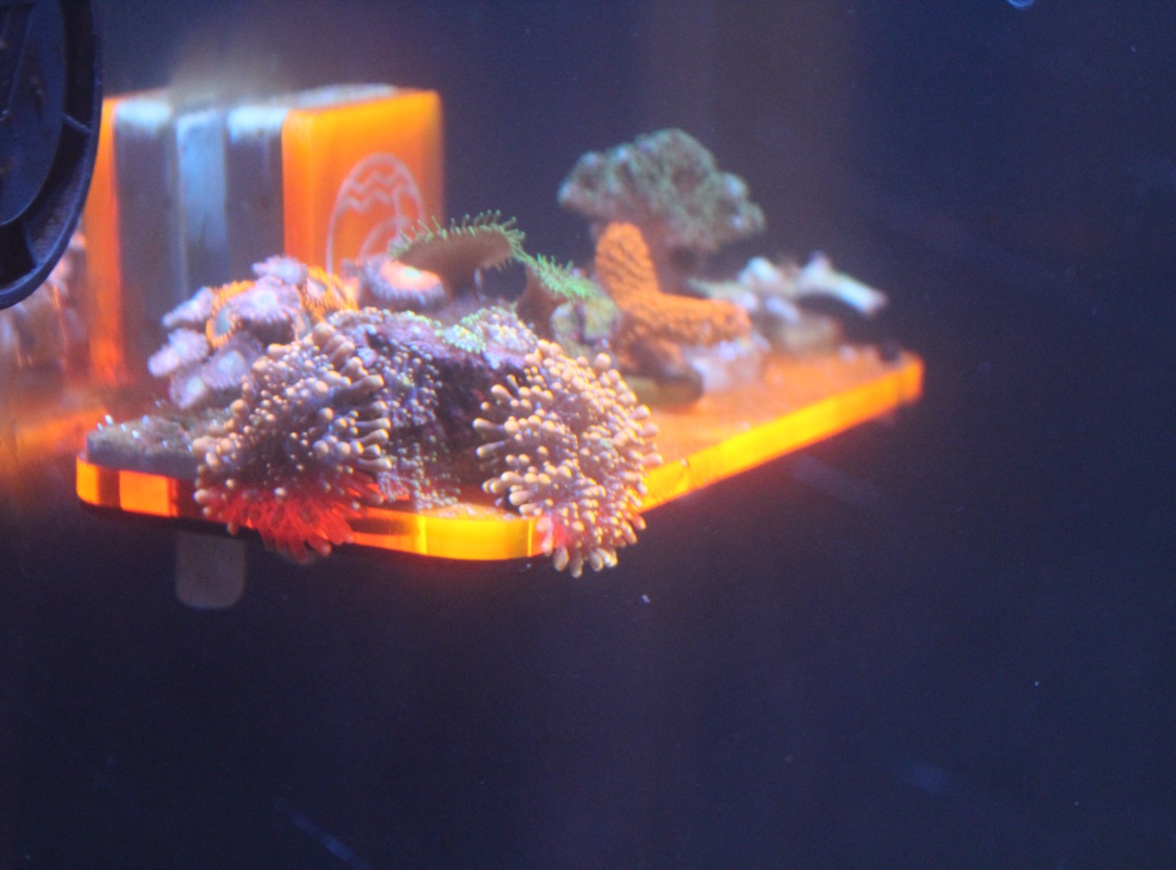 Tank Image