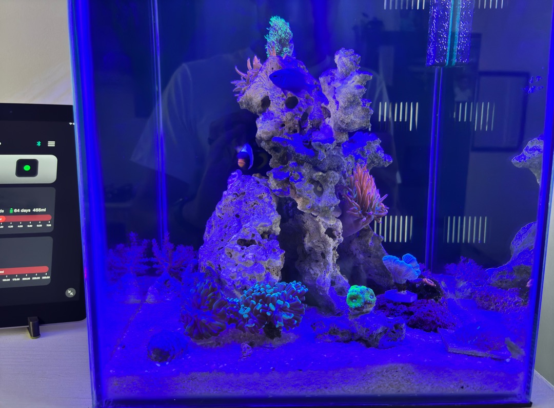 Tank Image