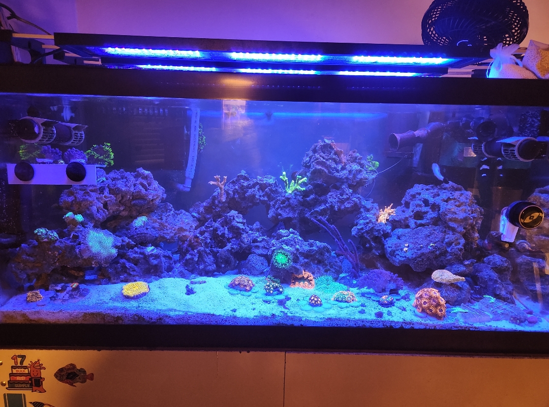 Tank Image