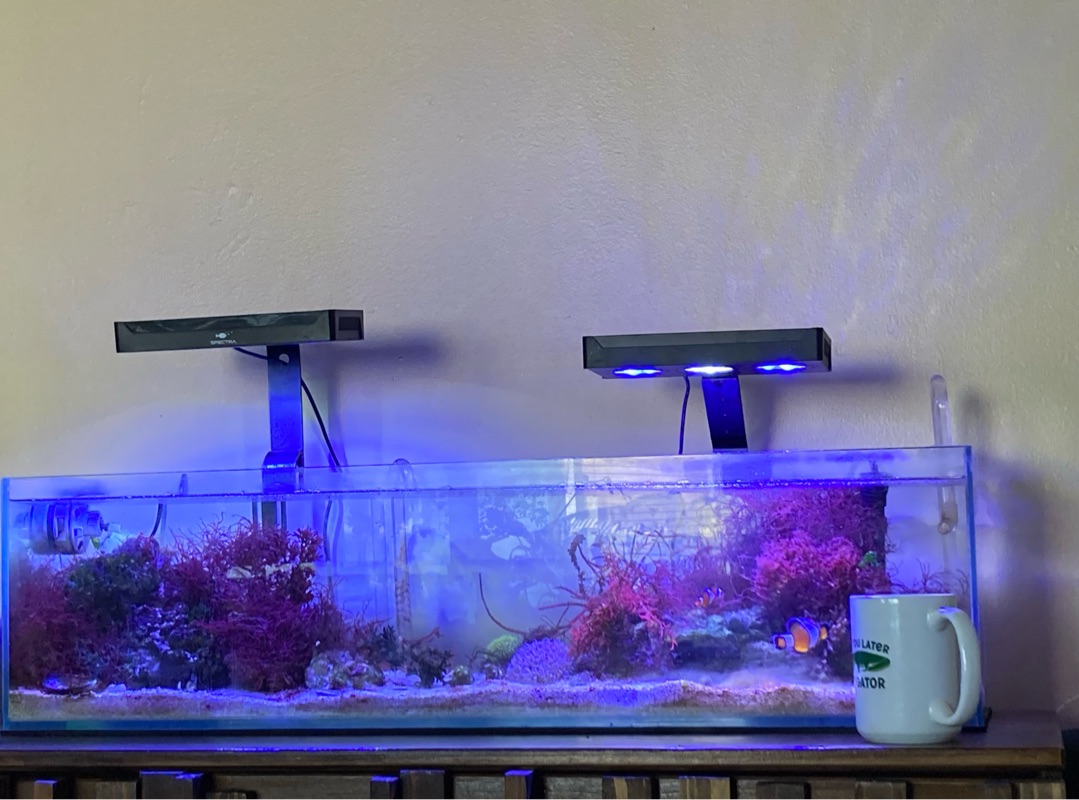 Tank Image