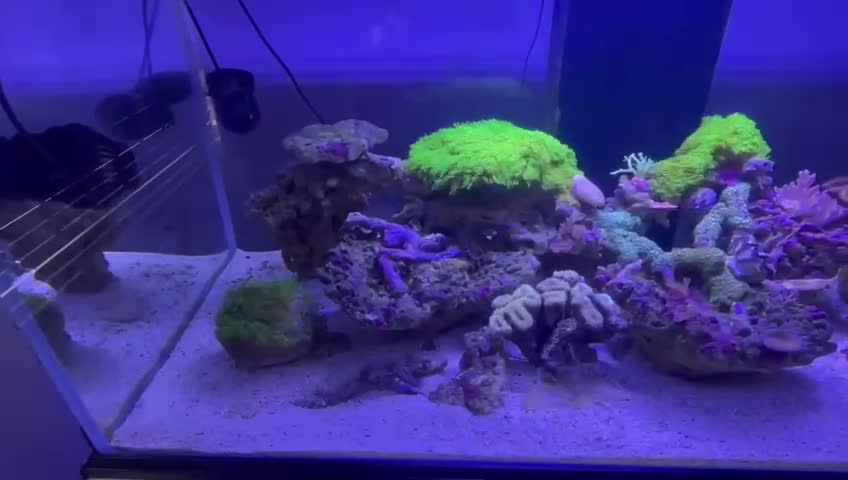 ReefBay post