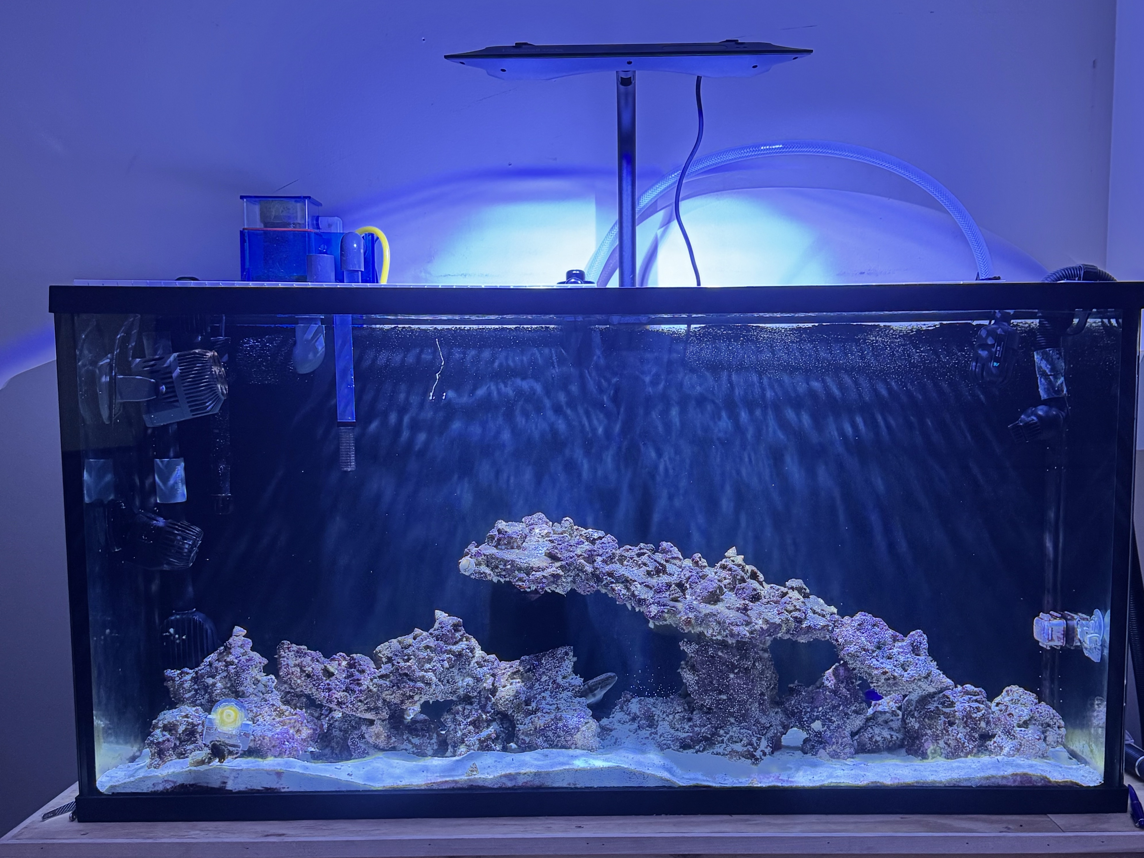 Tank Image