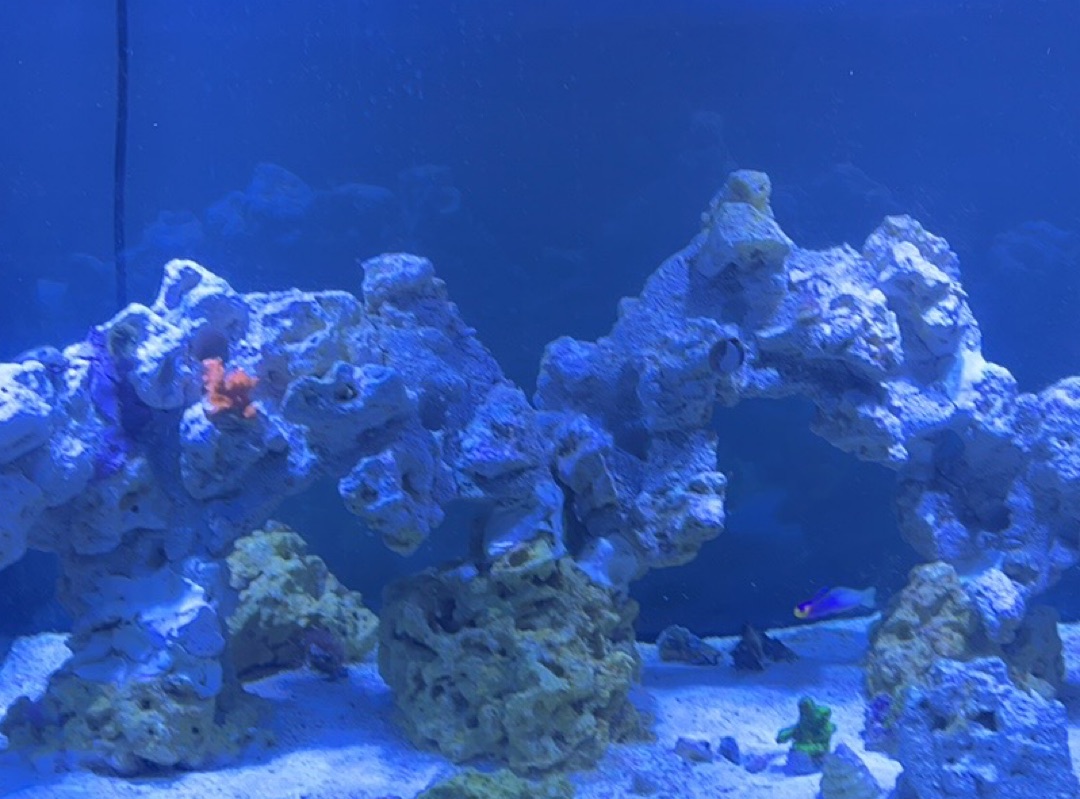 Tank Image