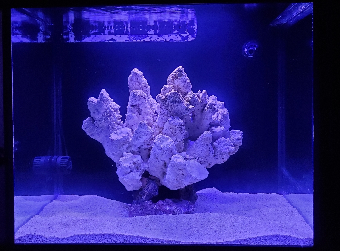 Tank Image